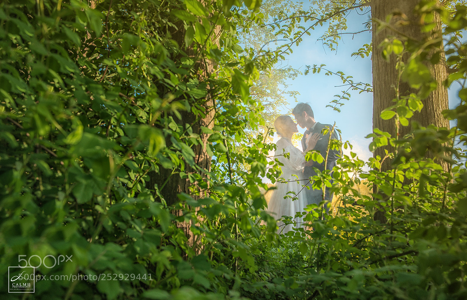 Nikon D810 sample photo. Untitled photography