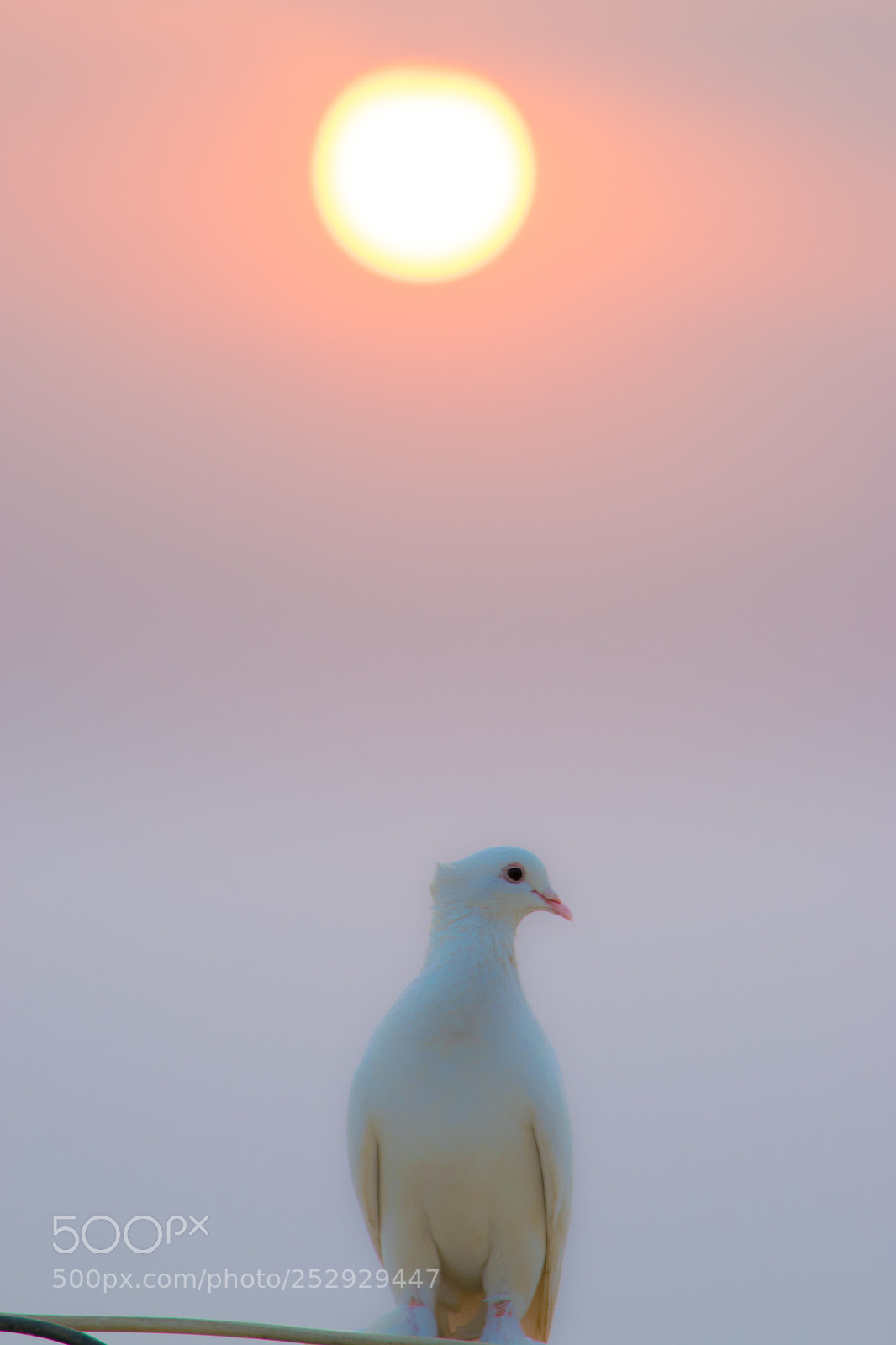 Nikon D3300 sample photo. Peaceful sunset photography