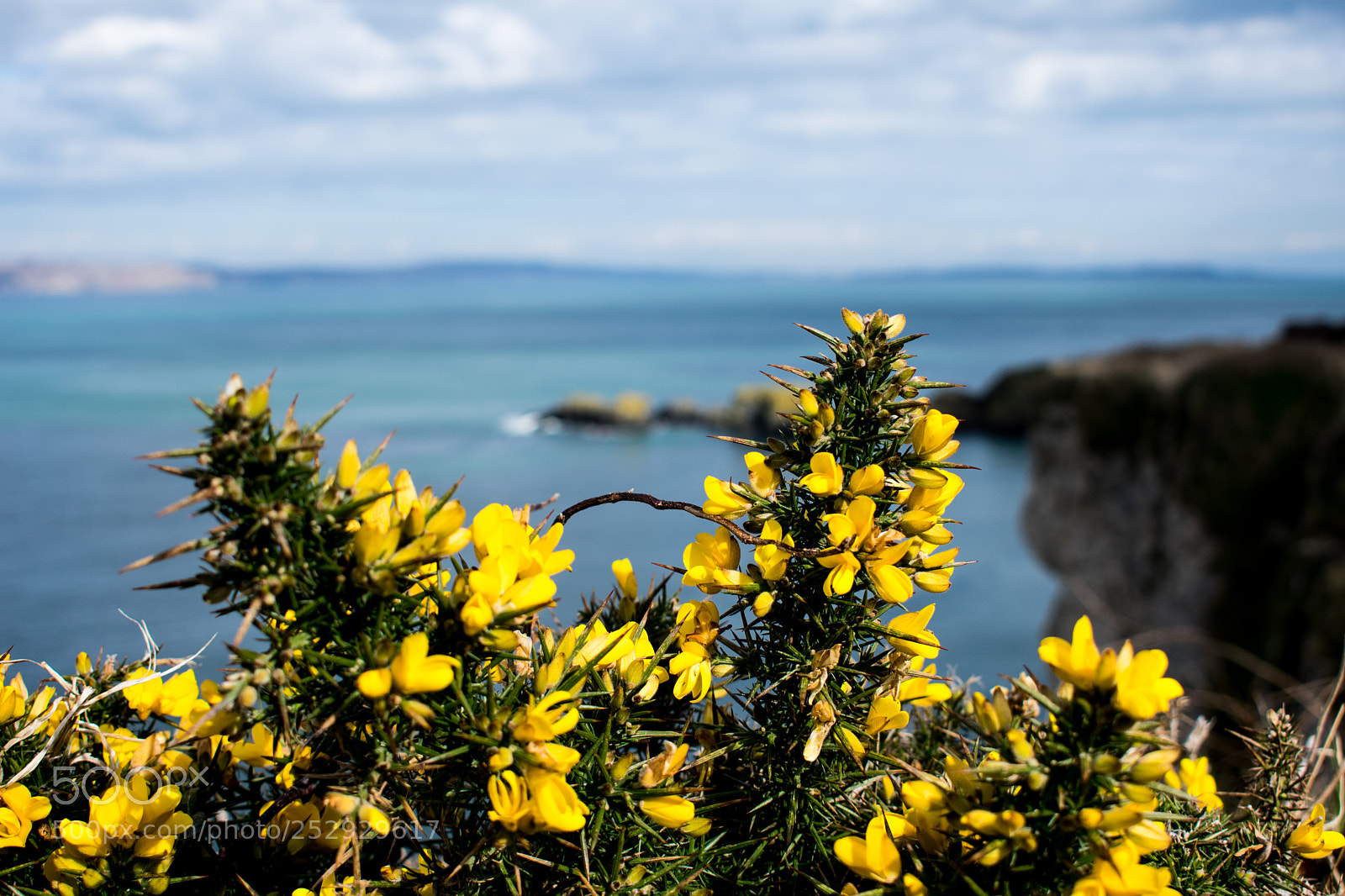 Nikon D3400 sample photo. Spring photography