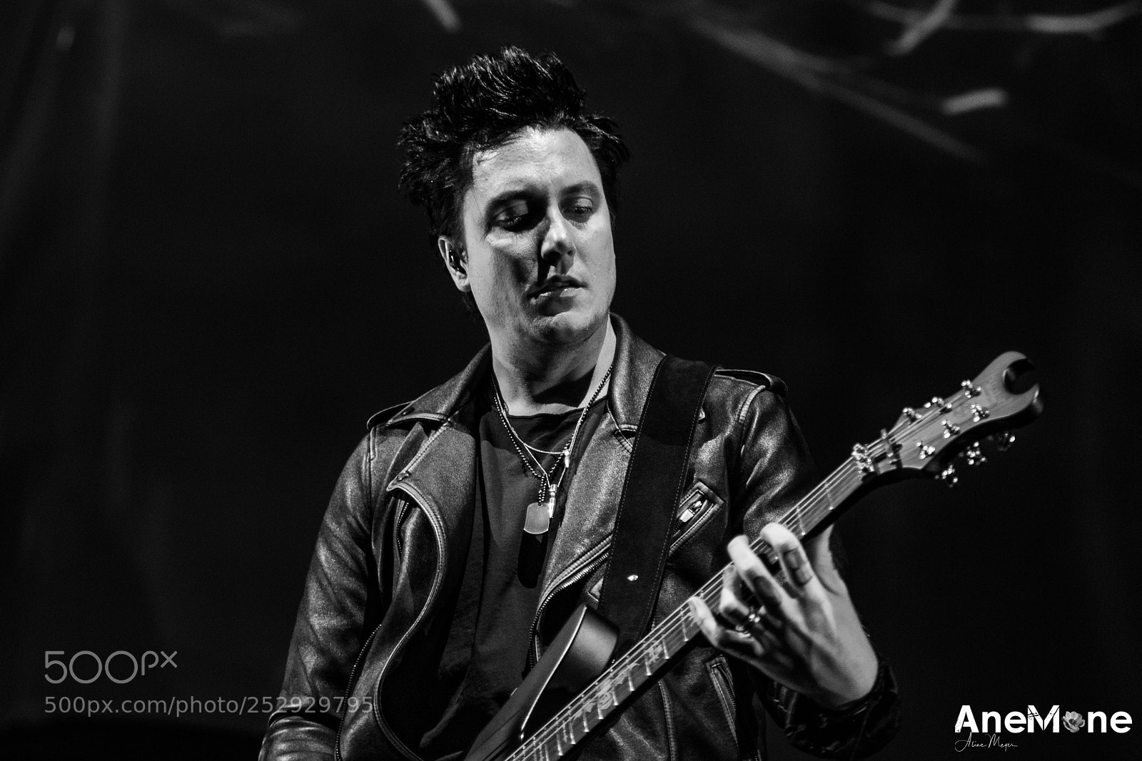 Canon EOS-1D X sample photo. Avenged sevenfold photography