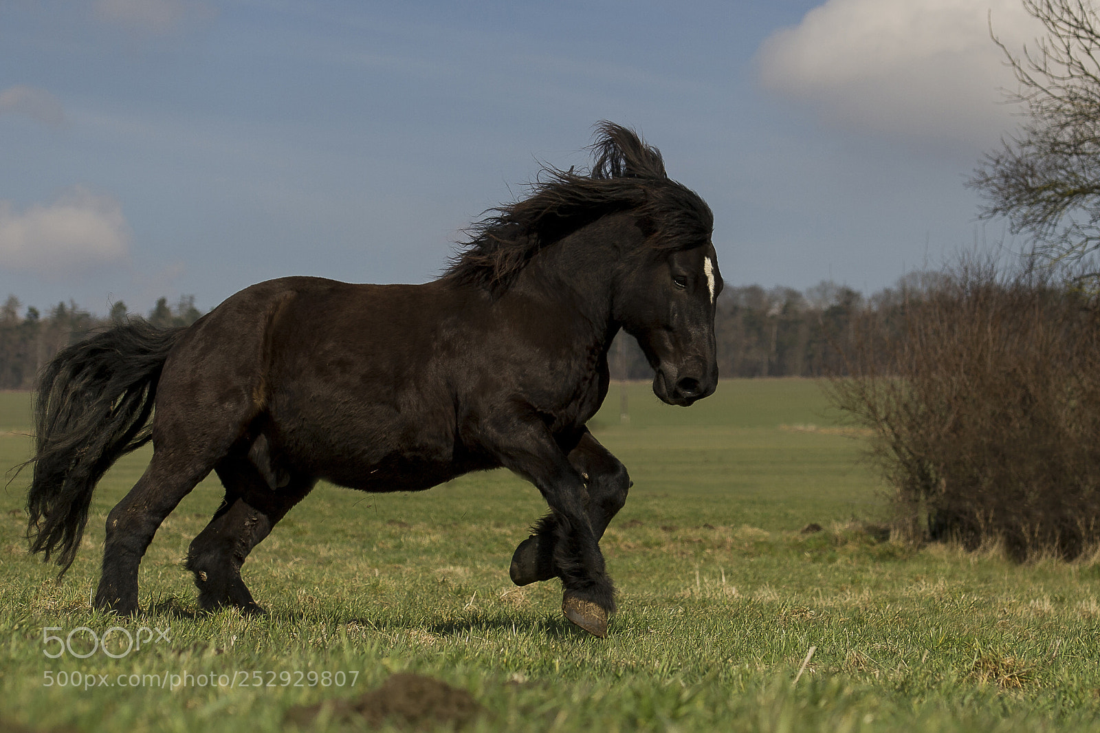 Nikon D3S sample photo. Tibi tobt photography
