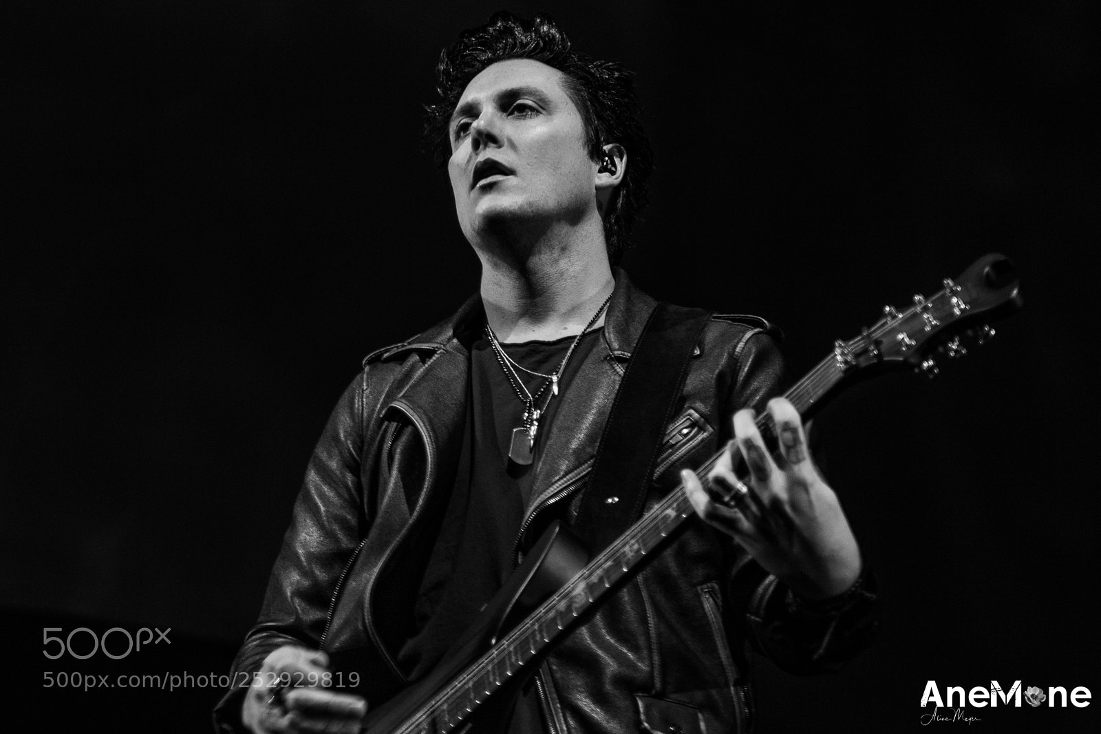 Canon EOS-1D X sample photo. Avenged sevenfold photography