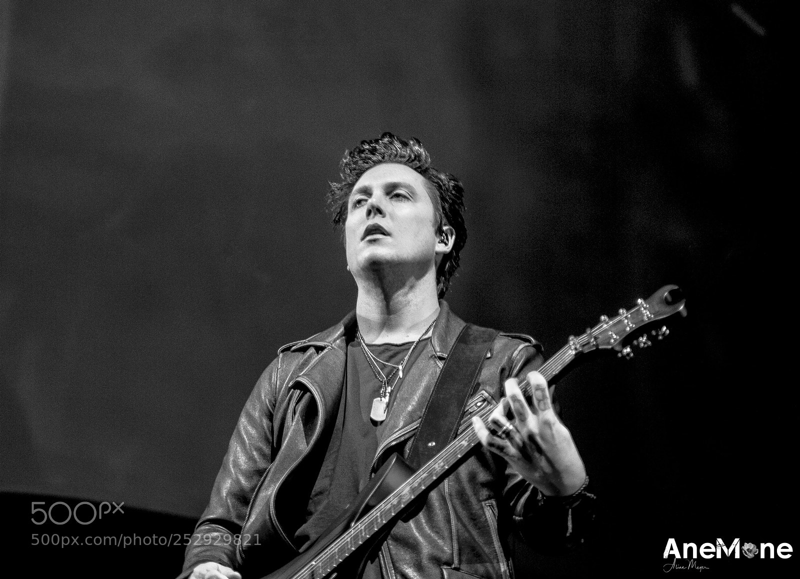 Canon EOS-1D X sample photo. Avenged sevenfold photography