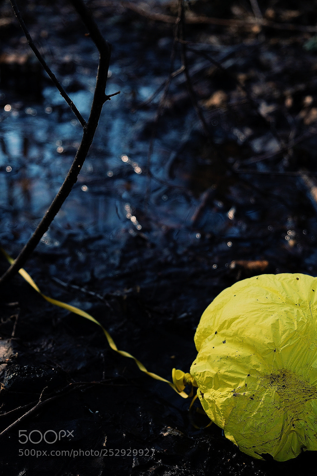 Fujifilm X-T1 sample photo. Untitled photography