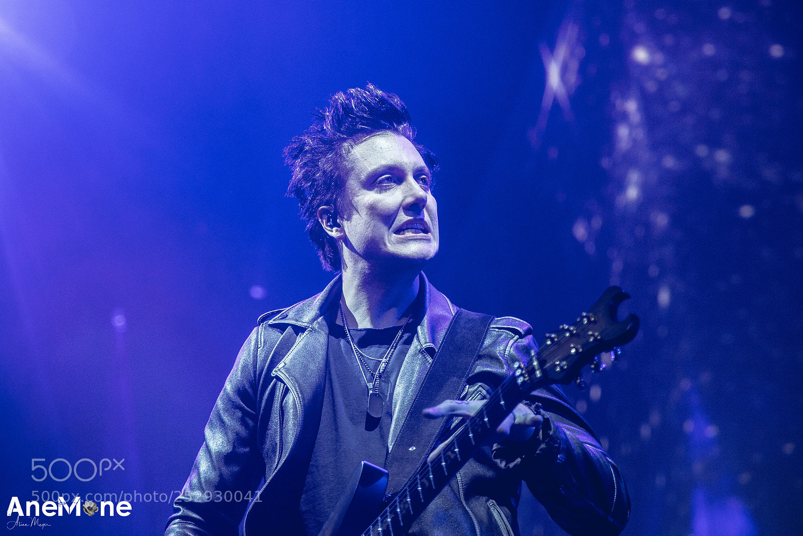 Canon EOS-1D X sample photo. Avenged sevenfold photography