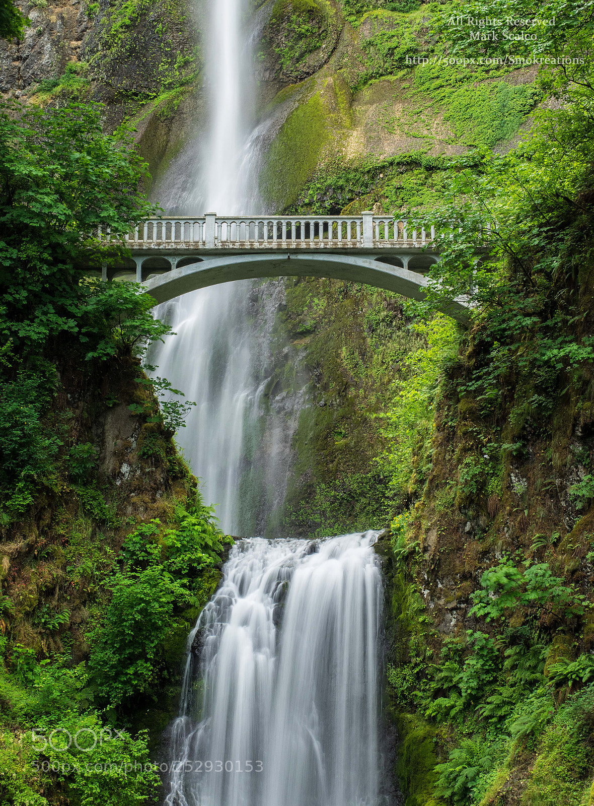 Olympus OM-D E-M1 sample photo. Multnomah bridge 2 photography