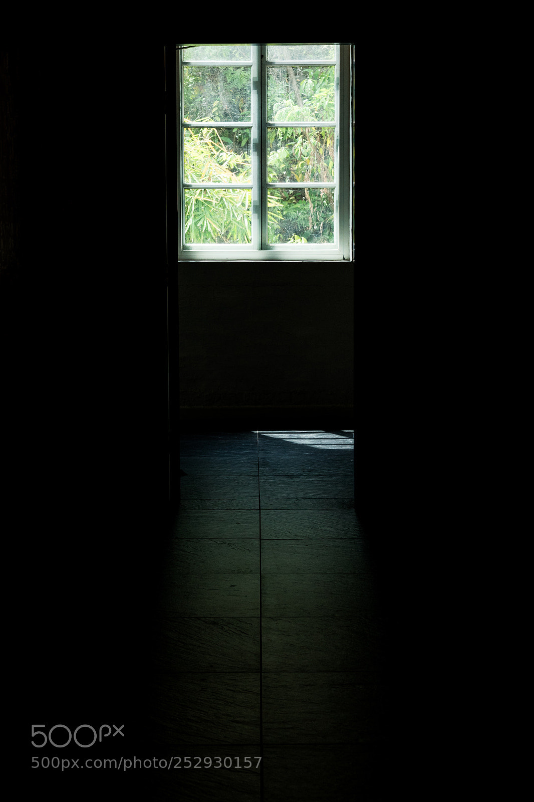 Sony a7 II sample photo. Outside photography