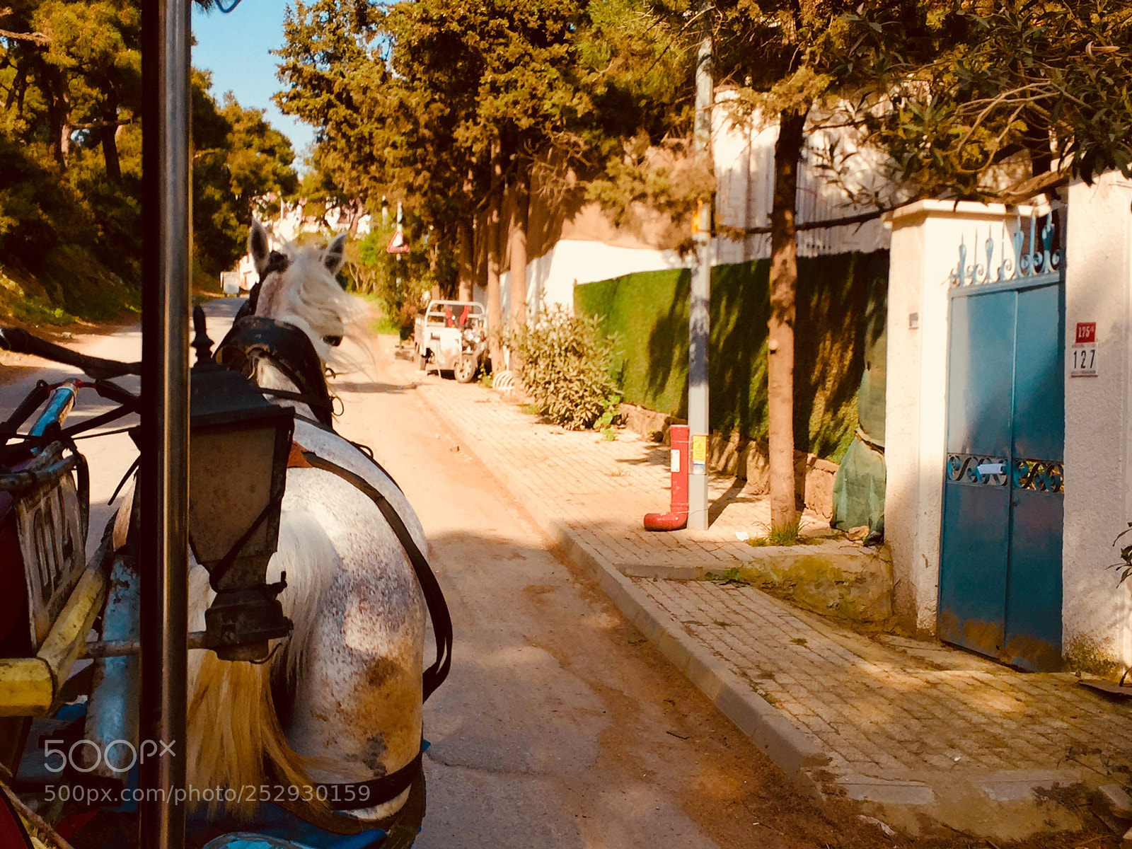 Apple iPhone 6 sample photo. Untitled photography