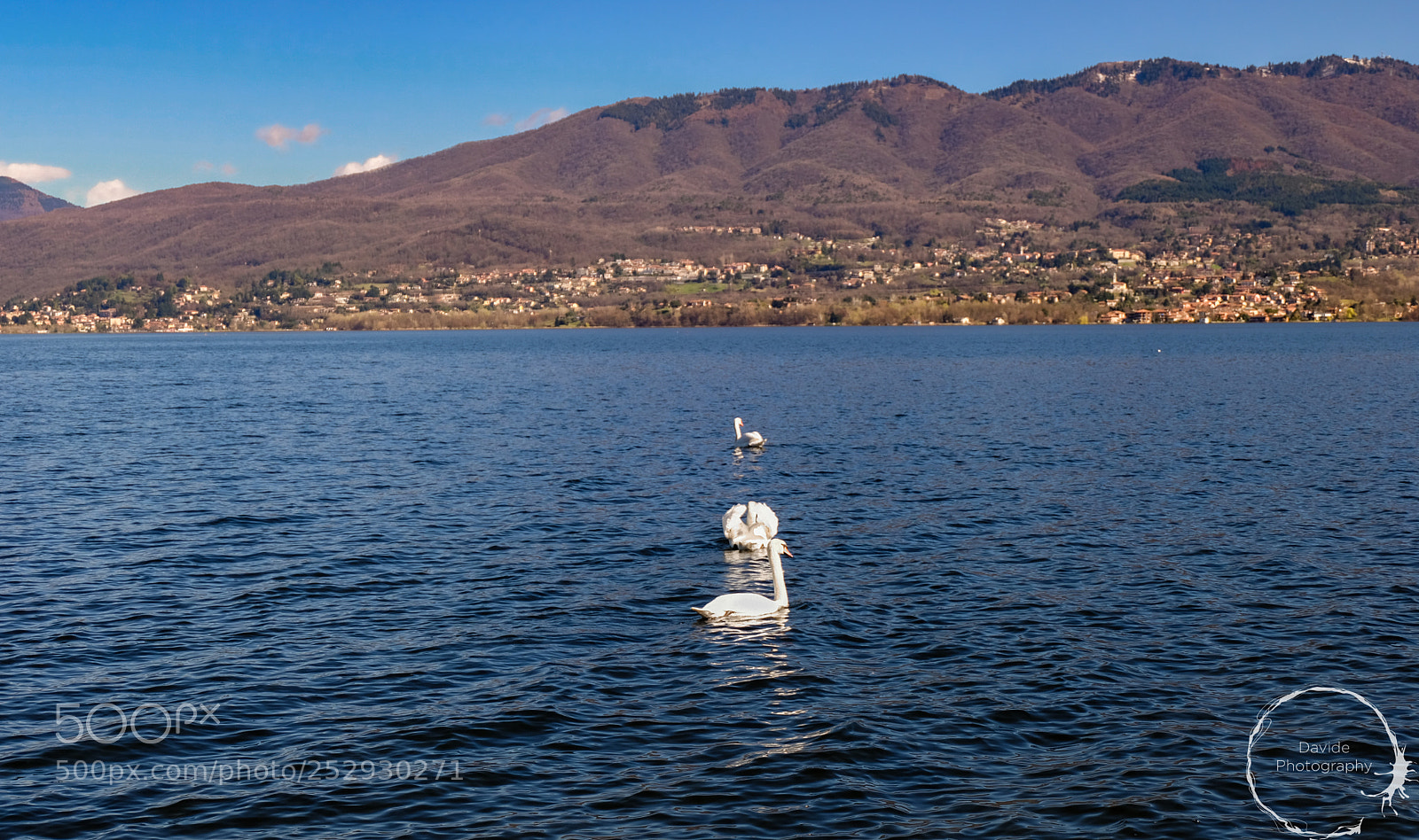 Fujifilm X-T20 sample photo. Three swans in a photography