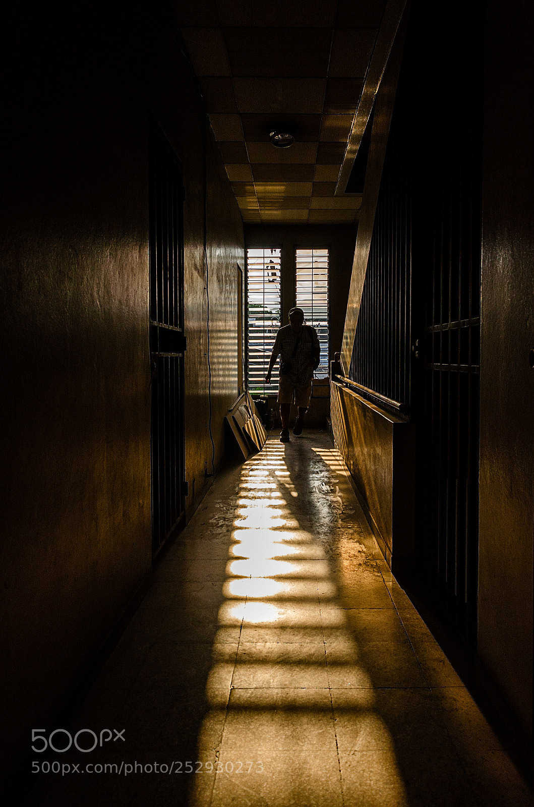 Nikon D7000 sample photo. Iluminado // illuminated photography
