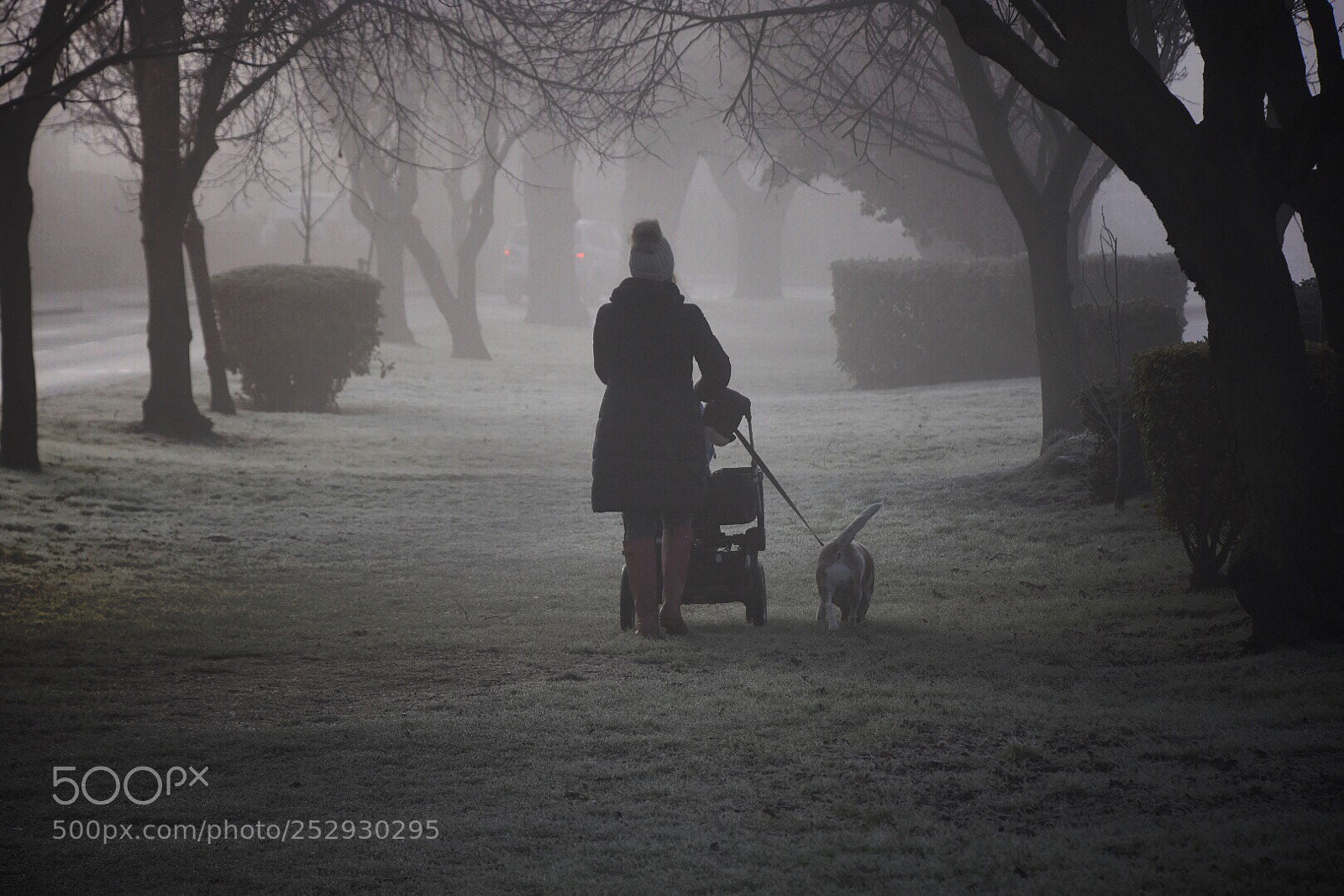 Nikon D7200 sample photo. Walk in the fog photography