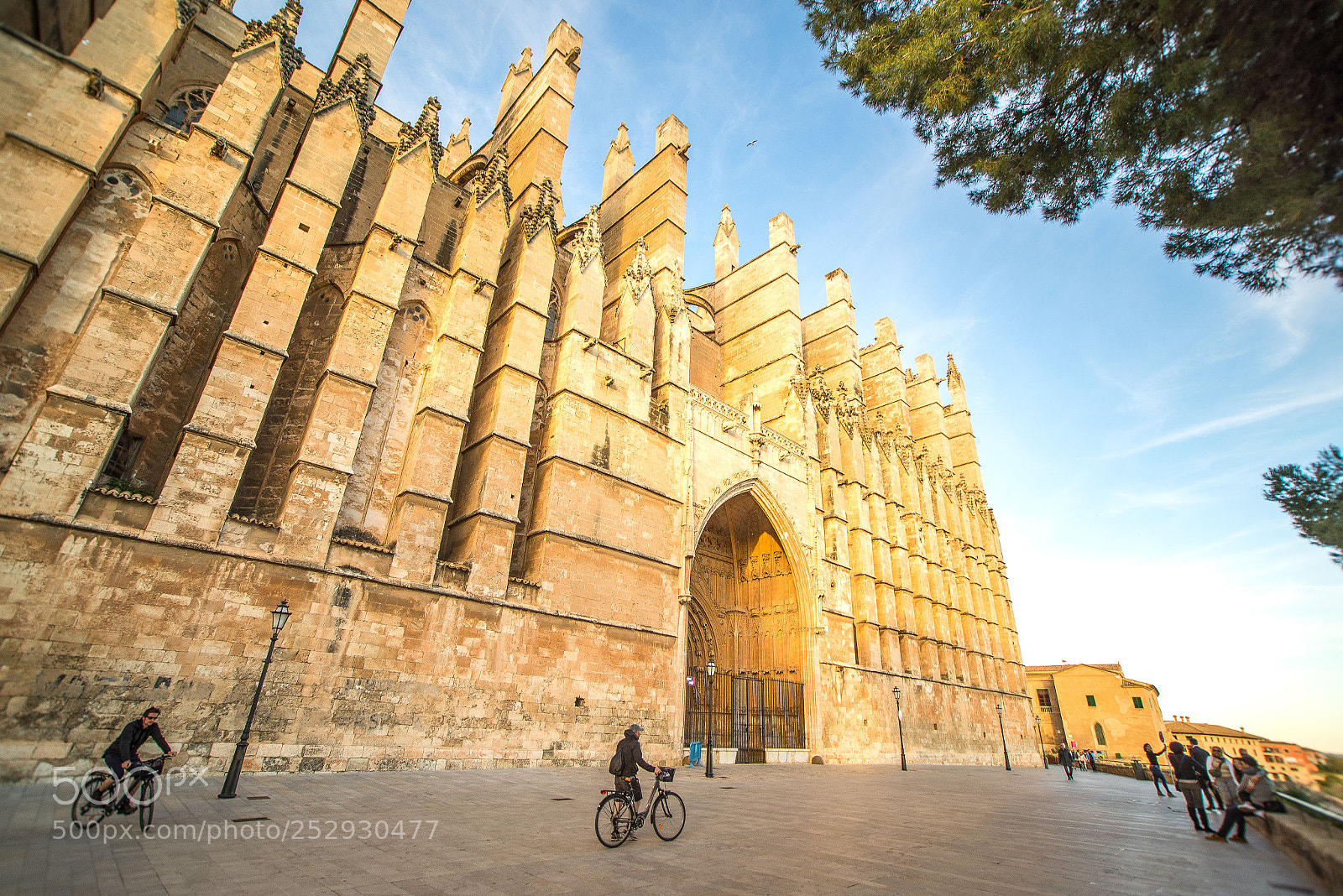 Nikon D610 sample photo. Palma de mallorca cathedral photography