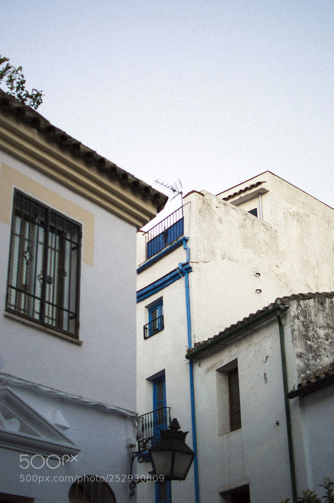 Nikon D3200 sample photo. 8:28pm photography