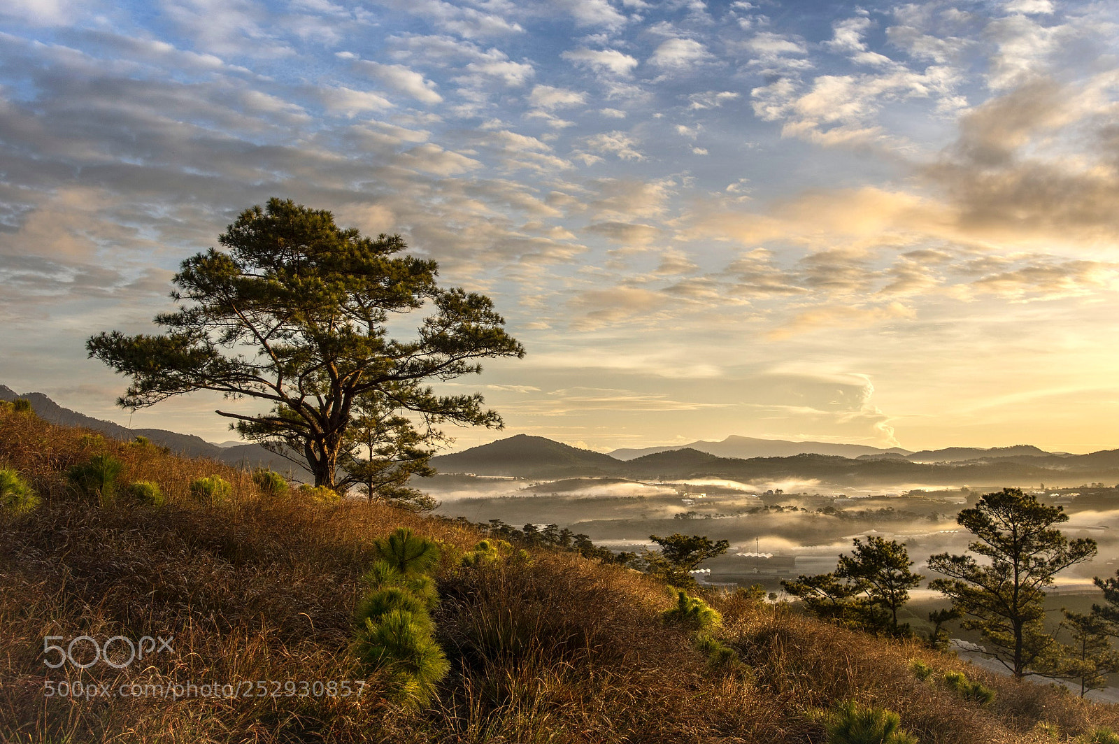 Pentax K-3 sample photo. Đa lat, viet nam photography