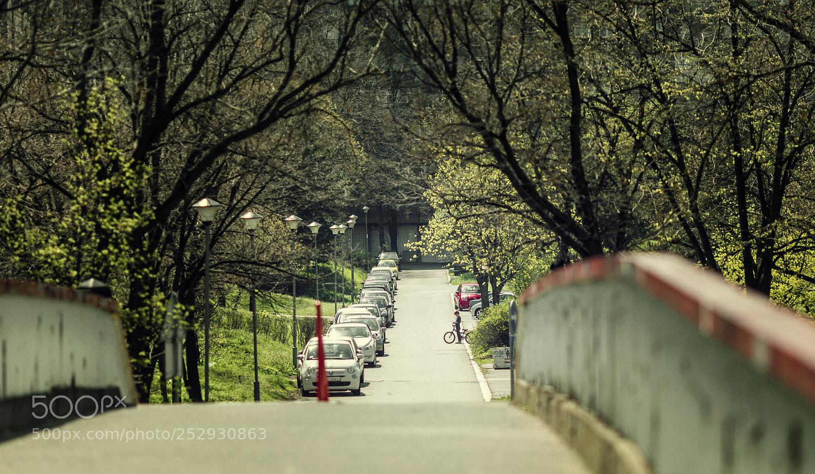 Canon EOS 5D Mark IV sample photo. Spring day photography