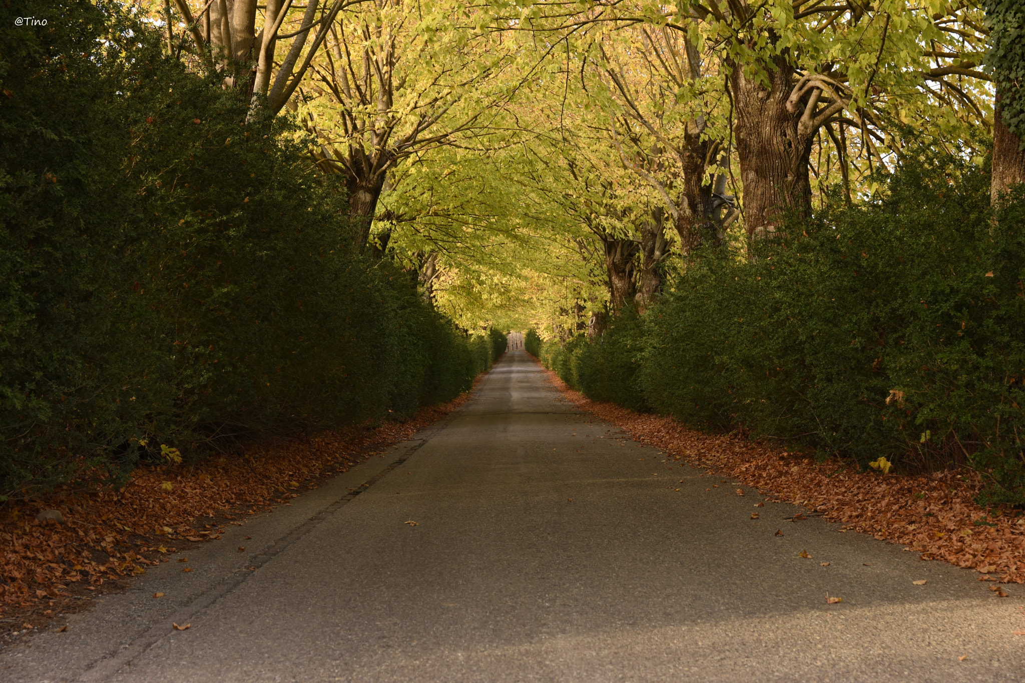 Nikon D7200 + Sigma 17-70mm F2.8-4 DC Macro OS HSM | C sample photo. Dsc photography