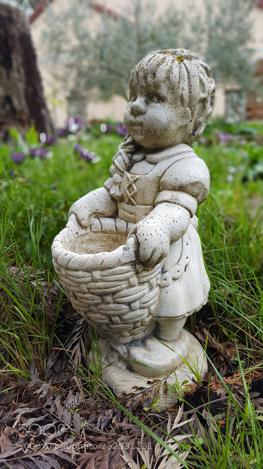 Samsung GALAXY S6 edge sample photo. Untitled photography