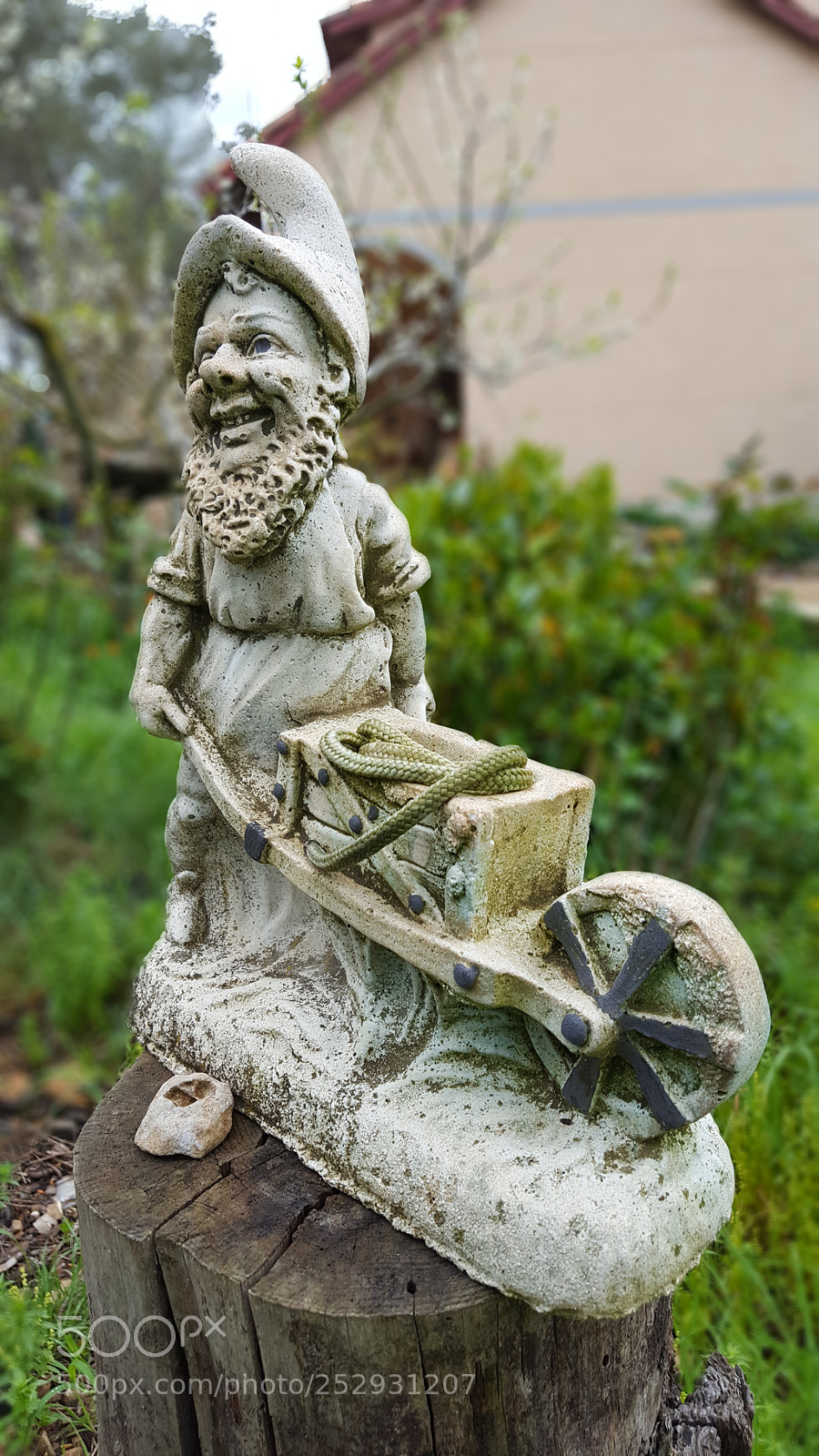 Samsung GALAXY S6 edge sample photo. Untitled photography