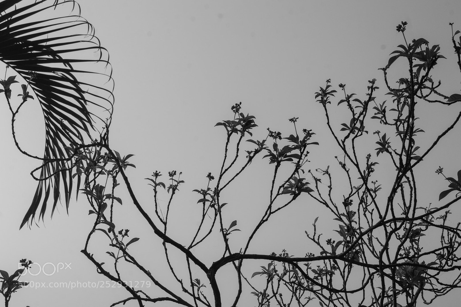 Nikon D3200 sample photo. Patterns photography