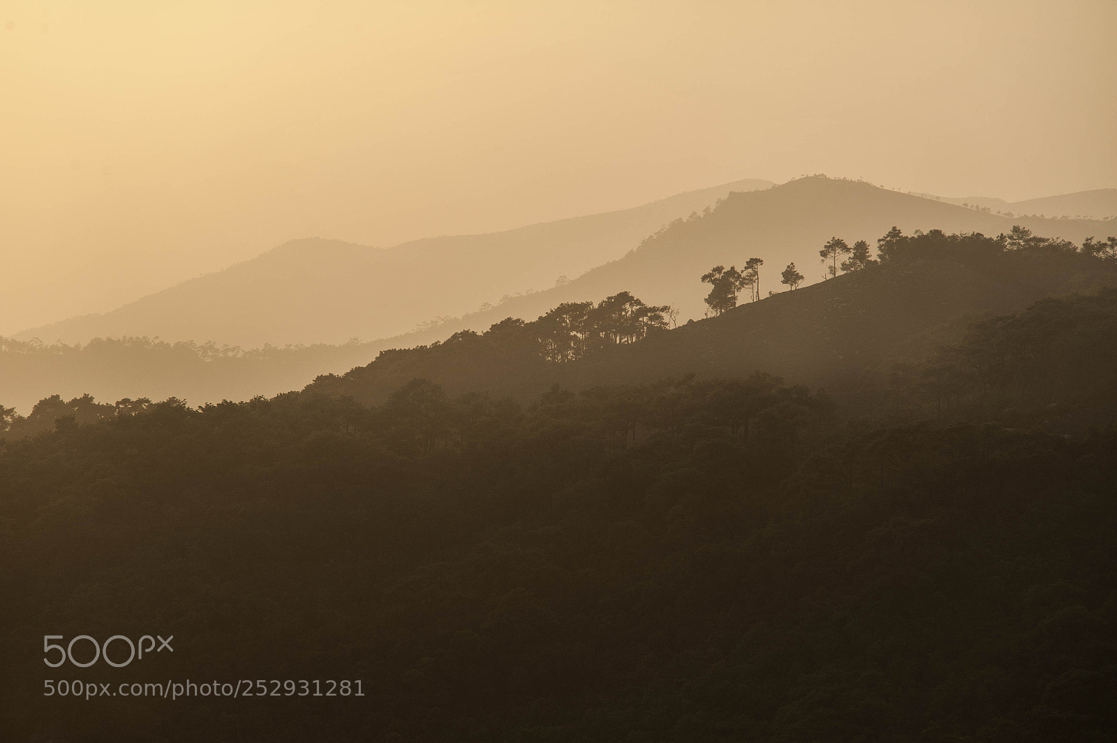 Nikon D700 sample photo. Before sunset photography
