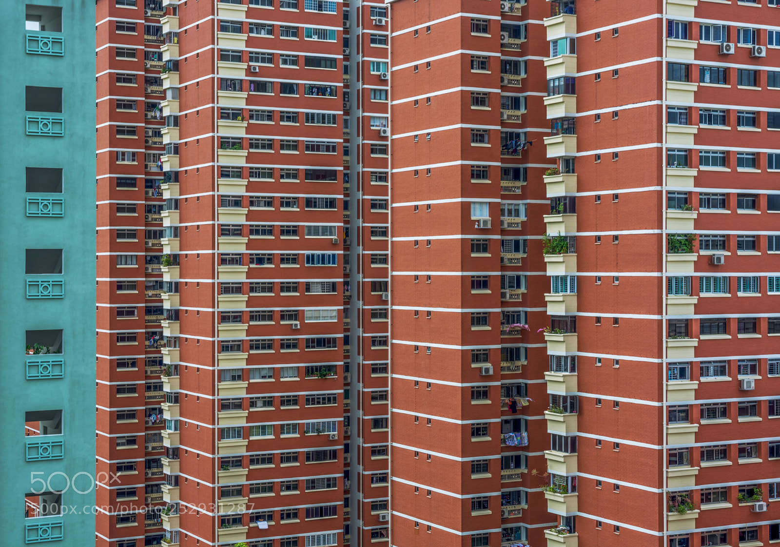 Nikon D7100 sample photo. Vertical life photography