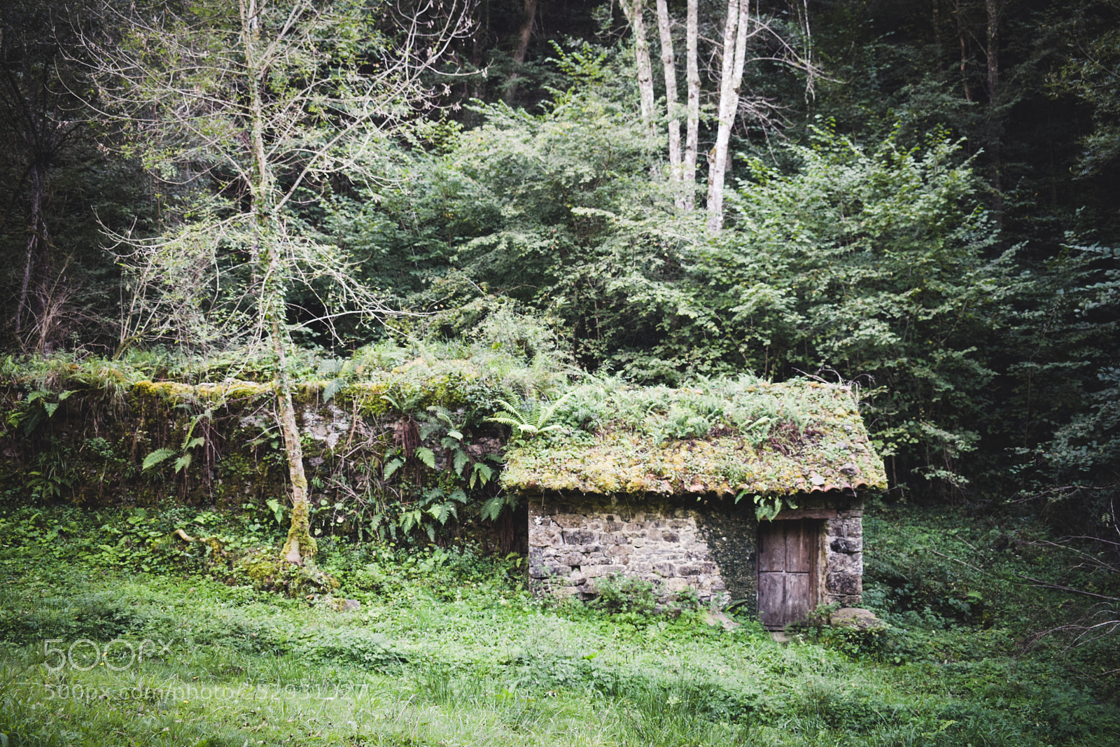 Nikon D3300 sample photo. The house in the photography