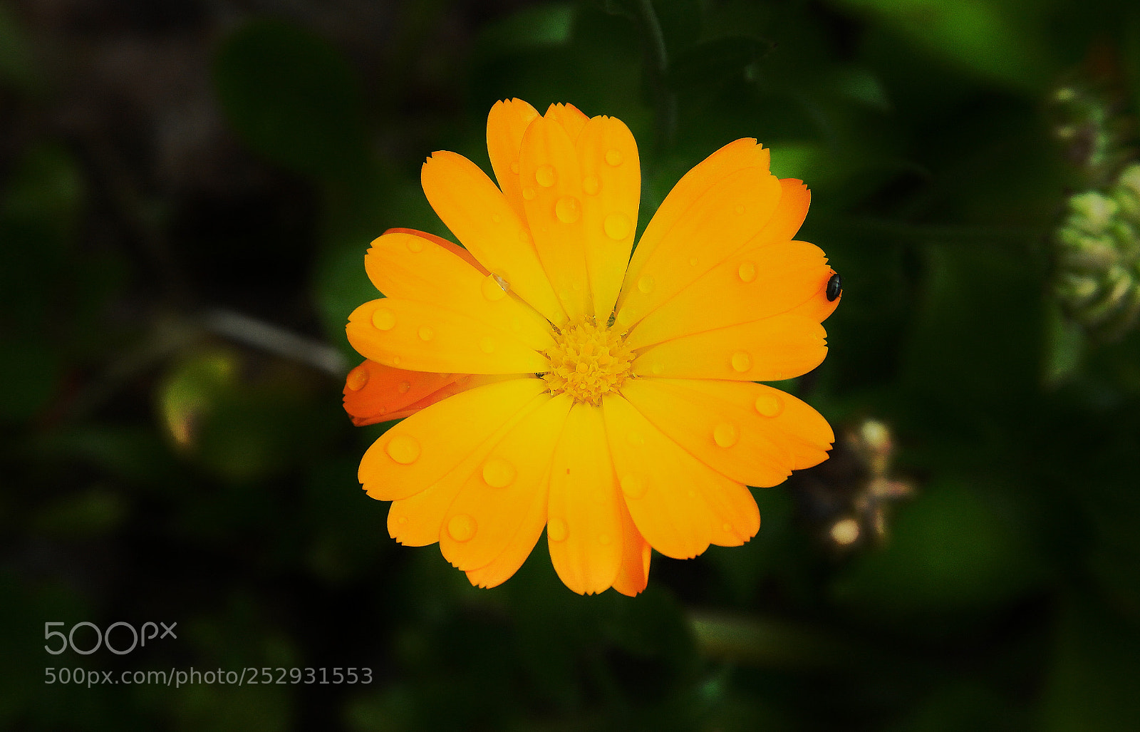 Samsung NX1 sample photo. Untitled photography