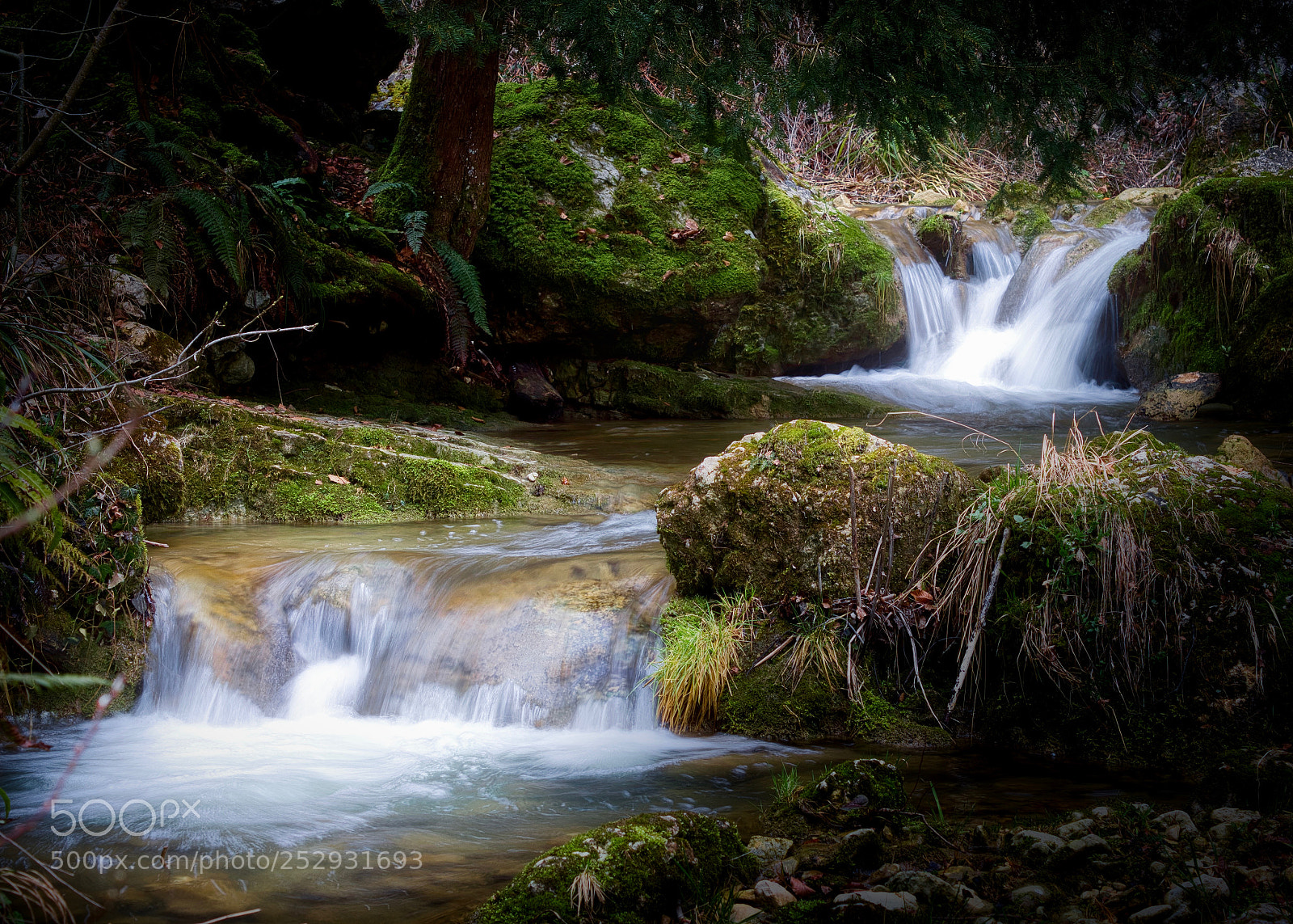Sony SLT-A65 (SLT-A65V) sample photo. Mini cascade photography