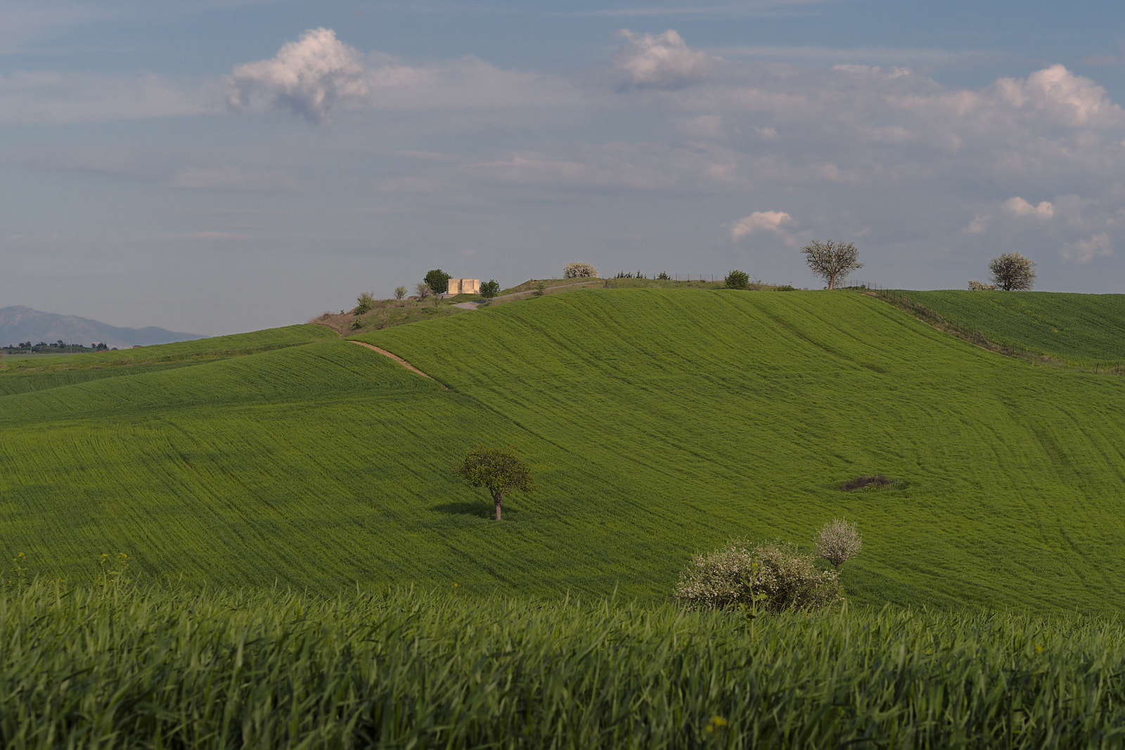 Olympus PEN E-PM2 sample photo. Greek pastoral photography