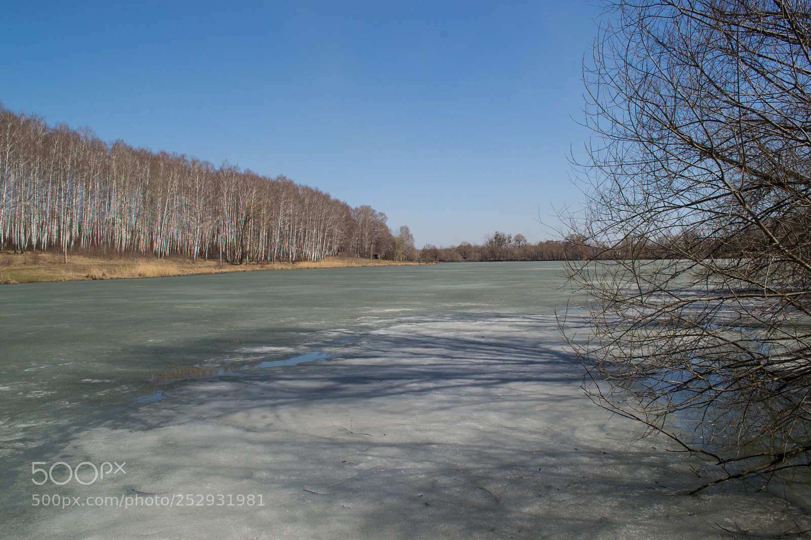 Nikon D3100 sample photo. Early spreeng photography