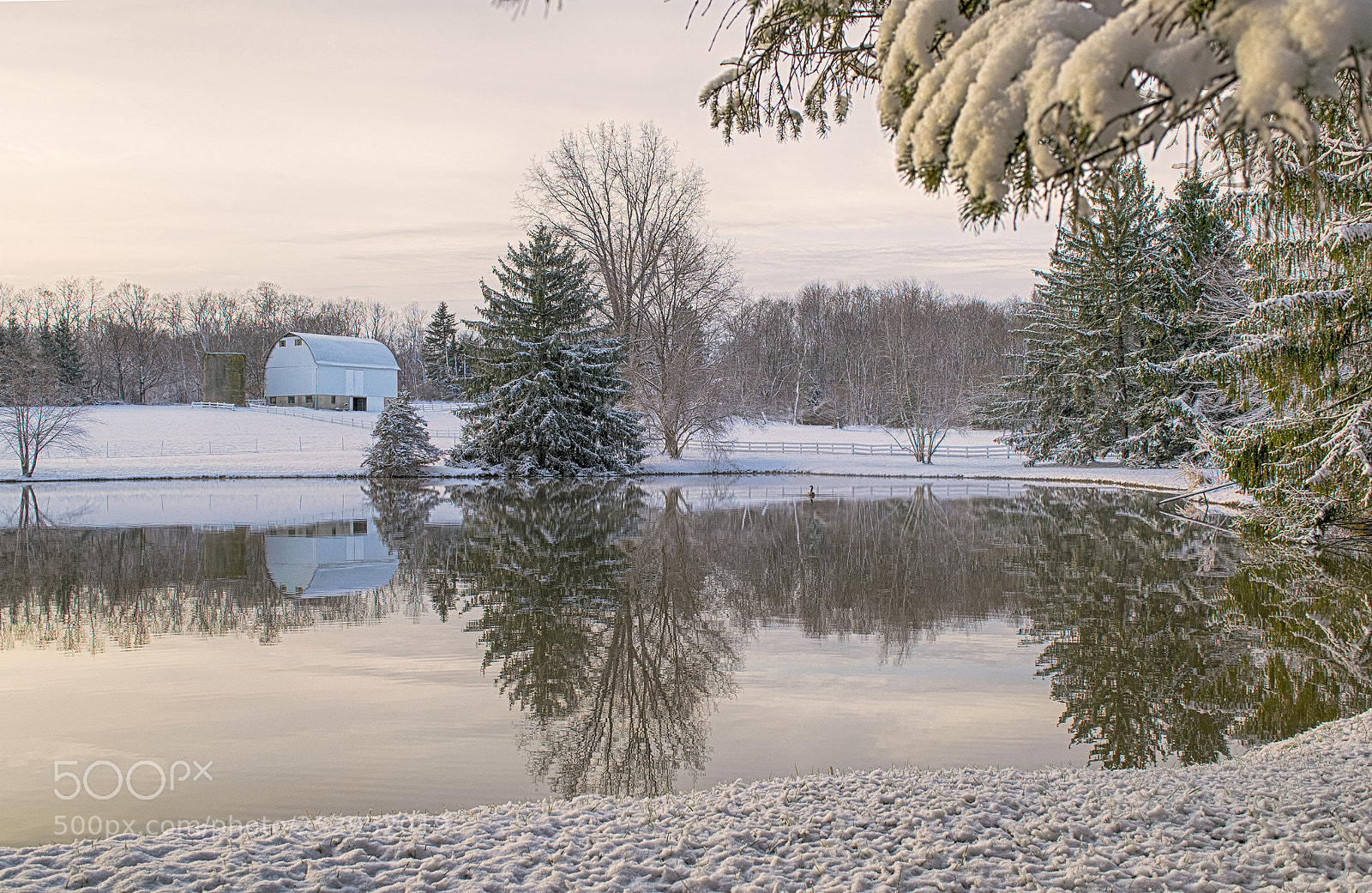 Nikon D3300 sample photo. A snowy april morning photography