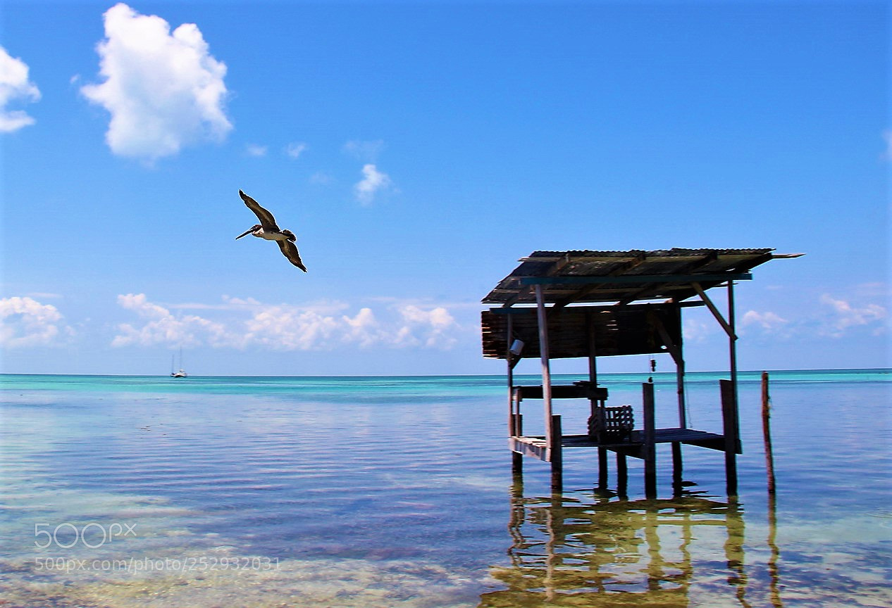 Canon EOS 600D (Rebel EOS T3i / EOS Kiss X5) sample photo. Mar do caribe photography