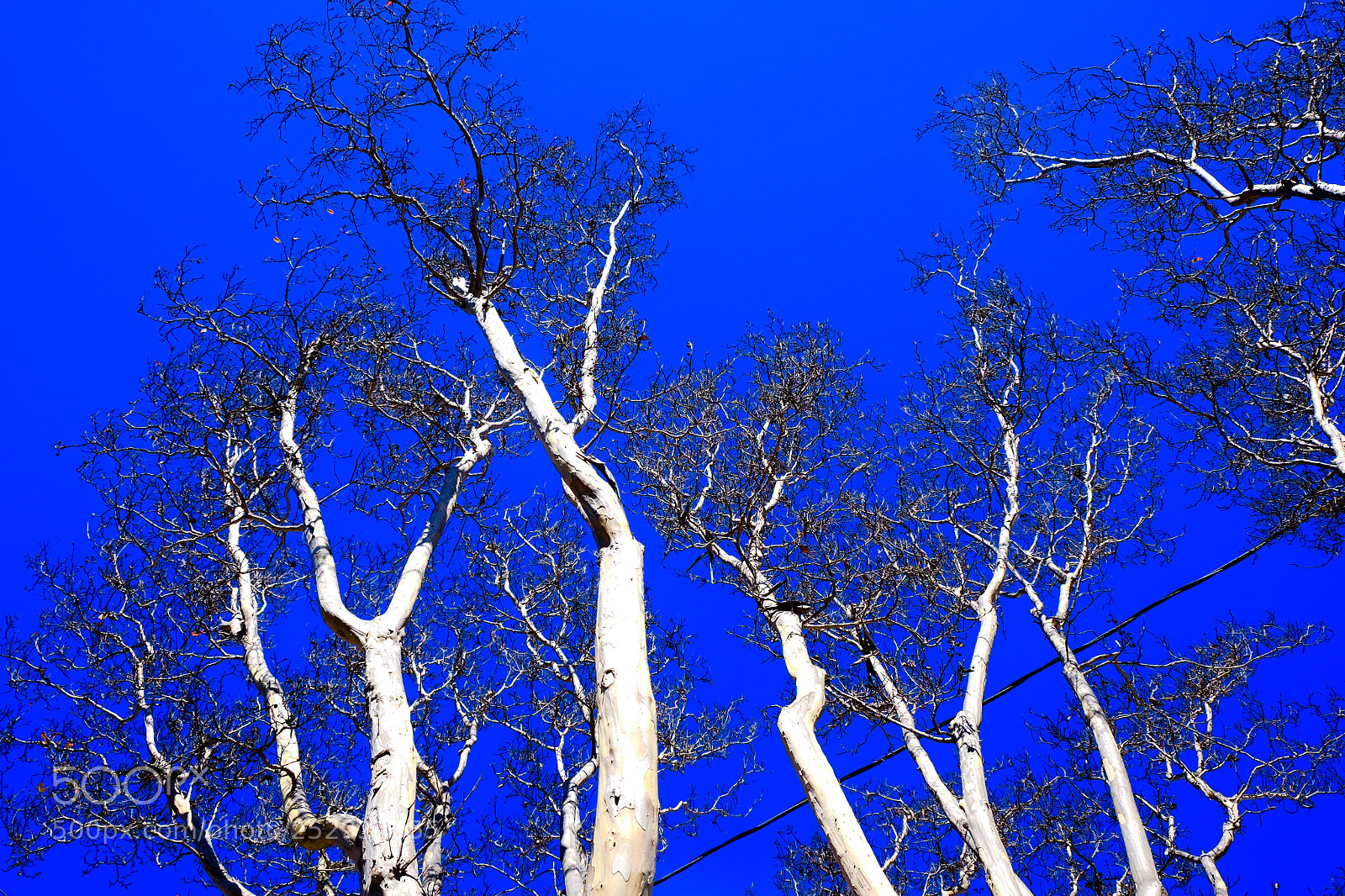 Fujifilm X-E2S sample photo. Over-processed for your protection photography