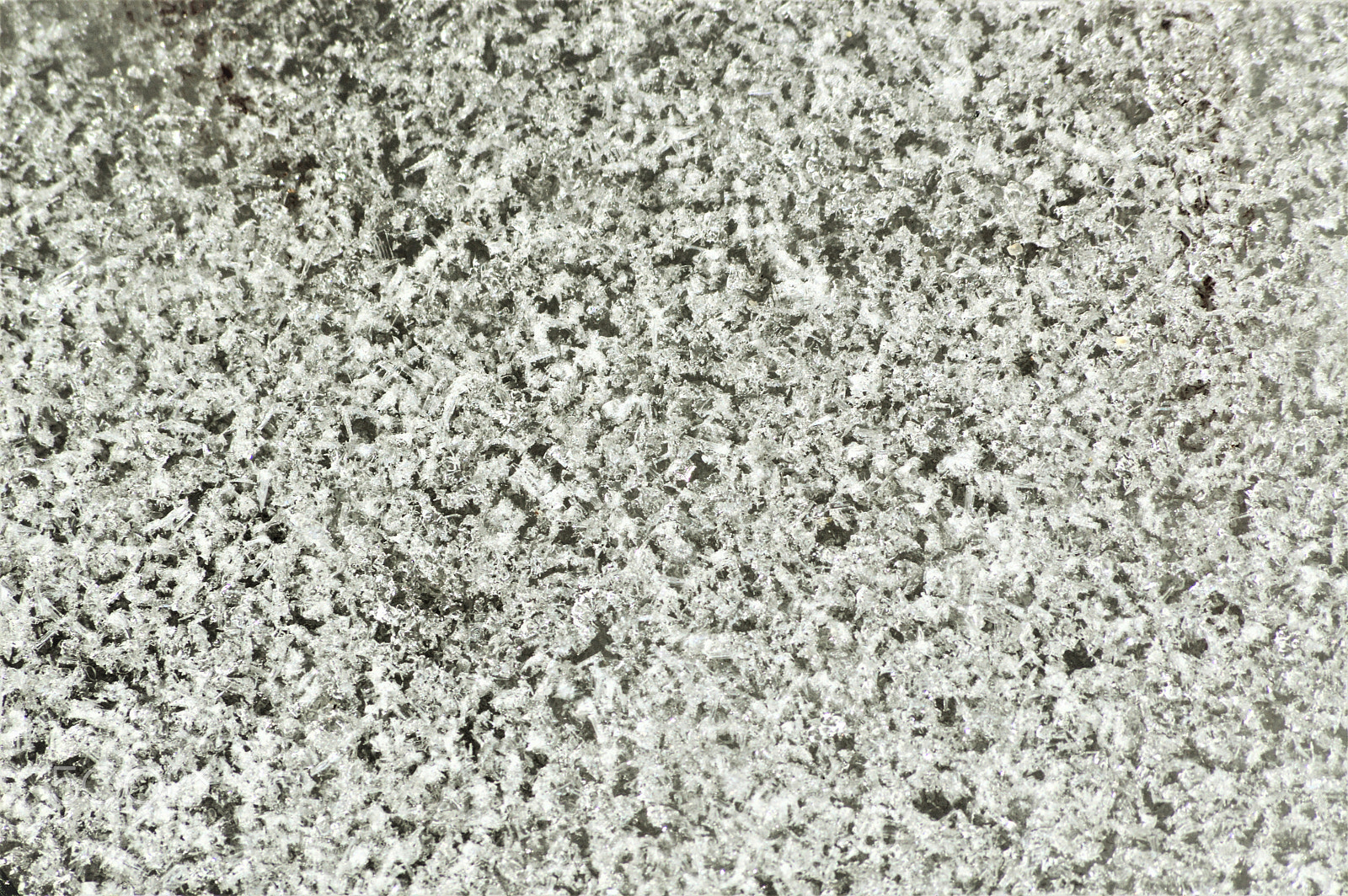 Sigma 70-300mm F4-5.6 APO DG Macro sample photo. Frozen texture photography