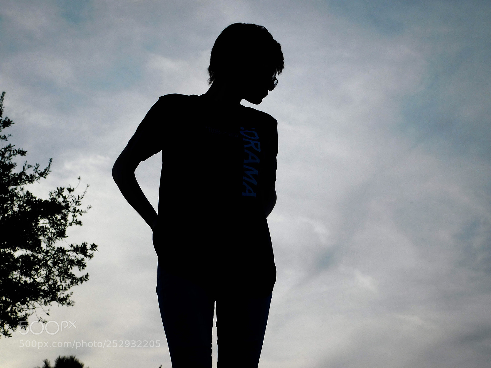Nikon Coolpix B500 sample photo. Silhouette photography