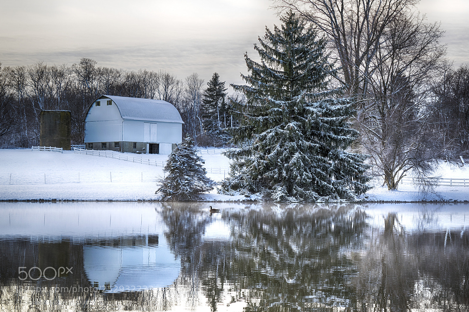 Nikon D3300 sample photo. A snowy april morning photography