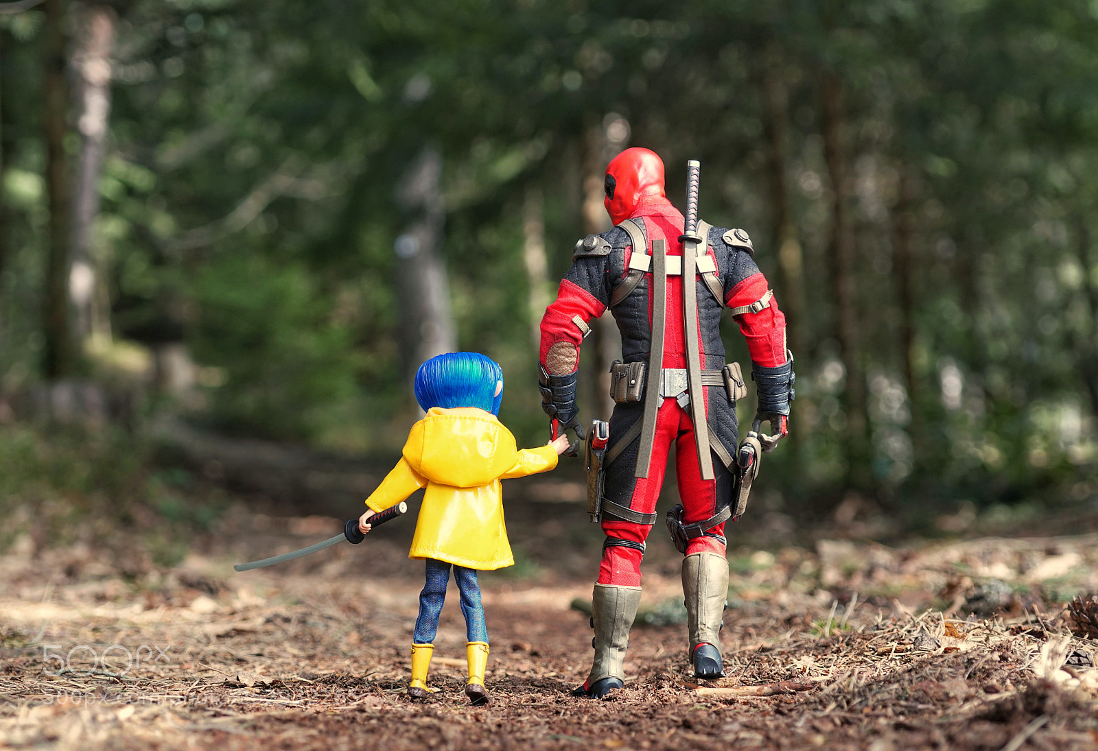 Sony a6500 sample photo. Dragon hunt photography