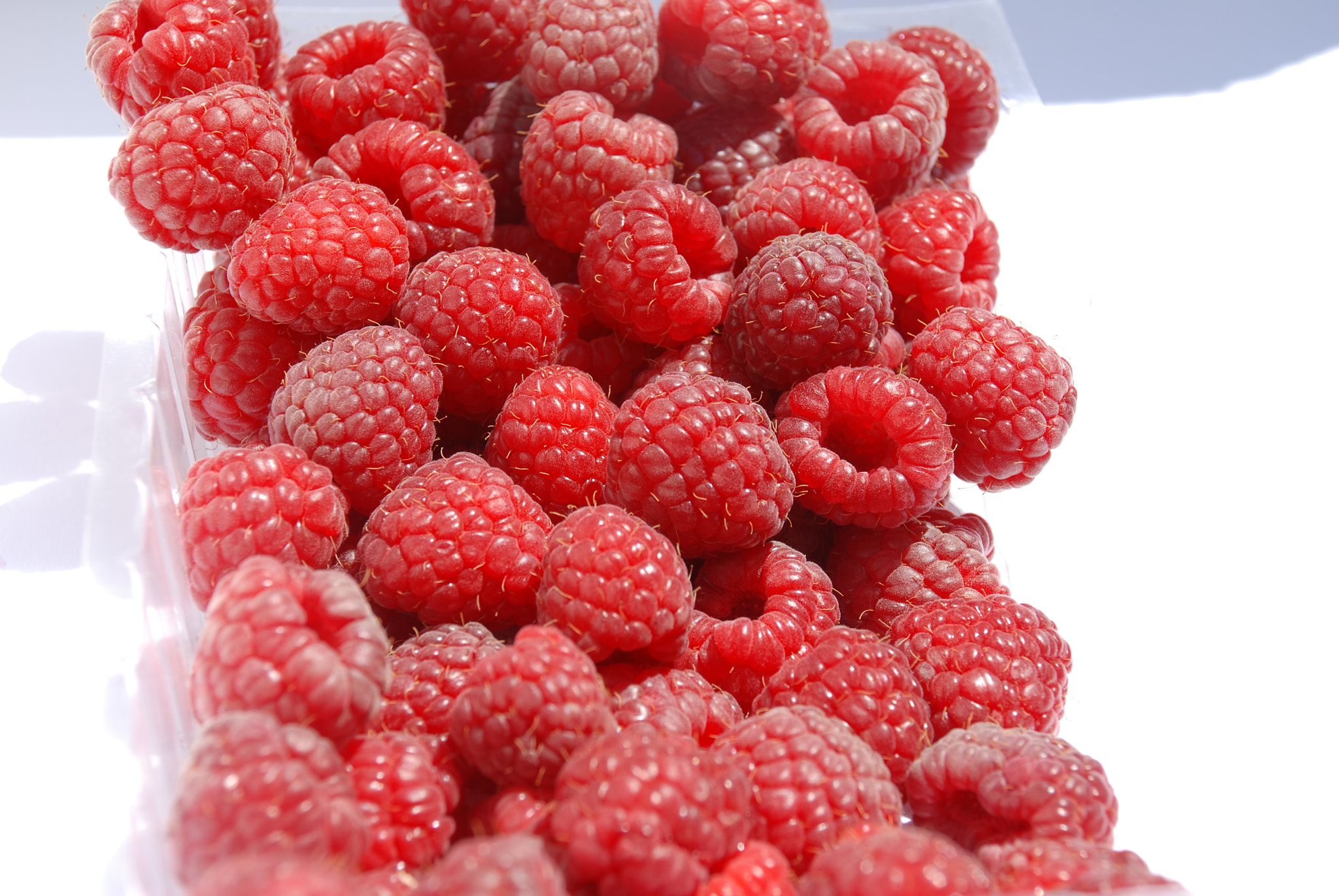 Nikon D80 sample photo. Raspberries photography