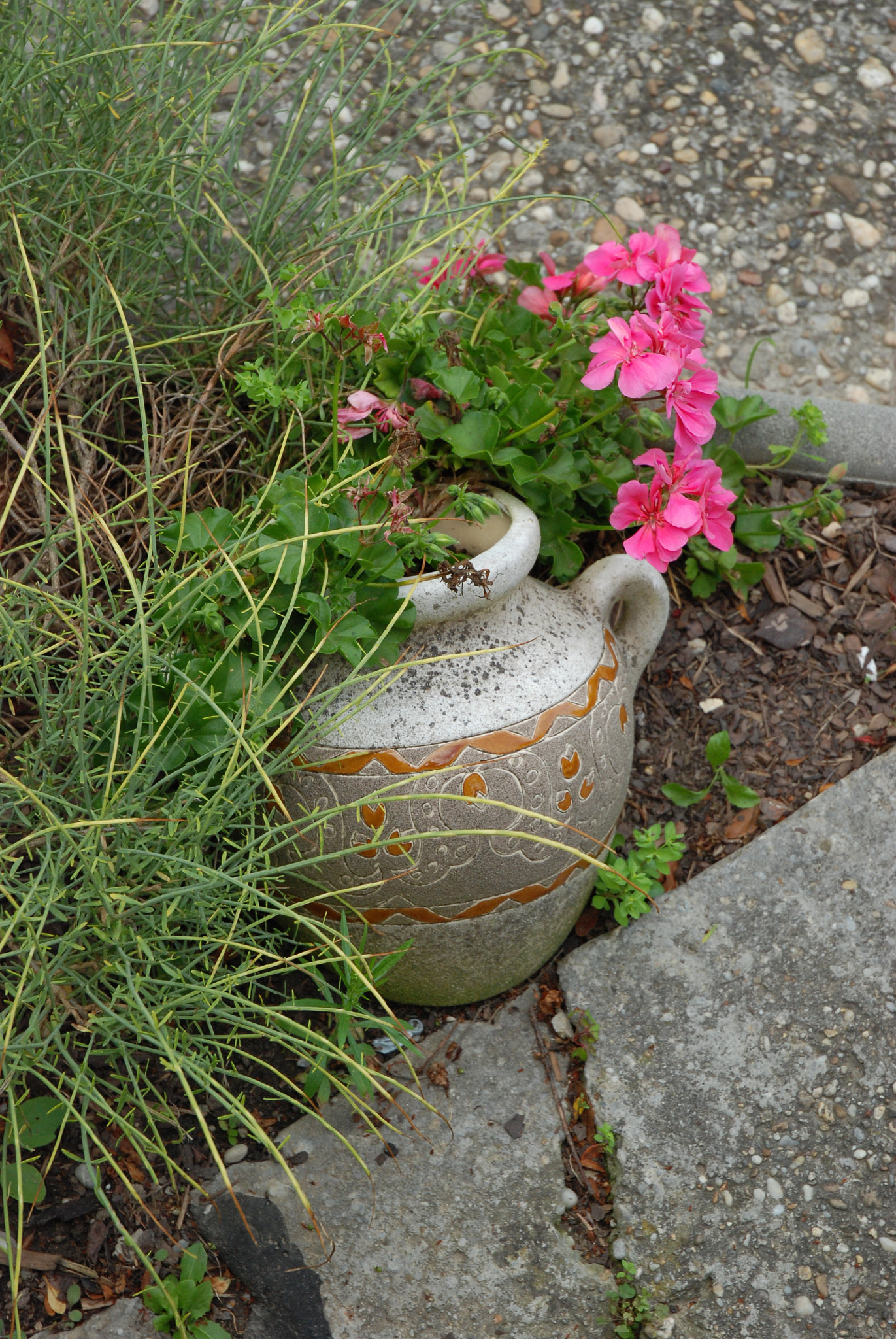 Nikon D80 sample photo. Garden photography