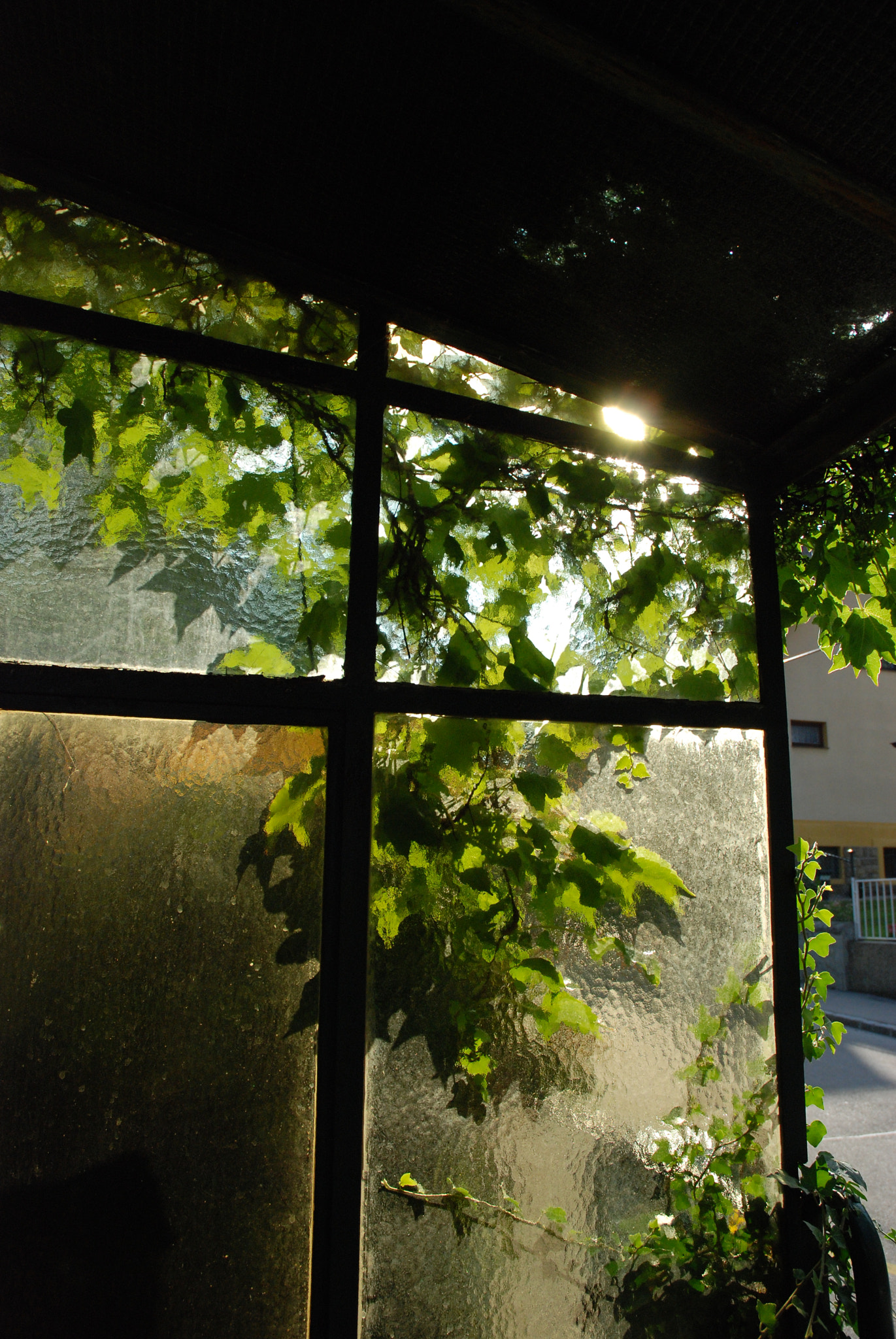 Nikon D80 sample photo. Garden photography