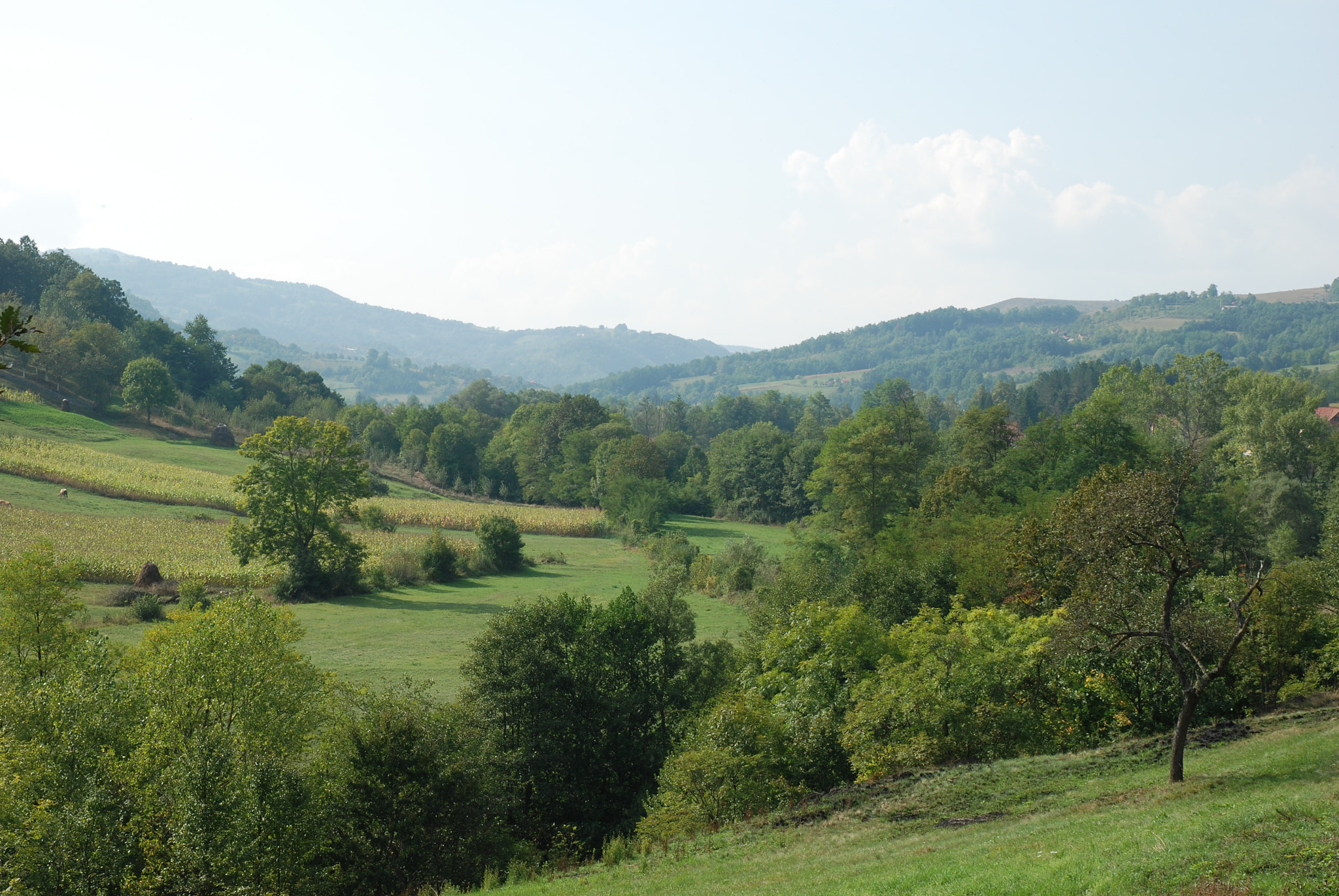 Nikon D80 sample photo. Landscape photography