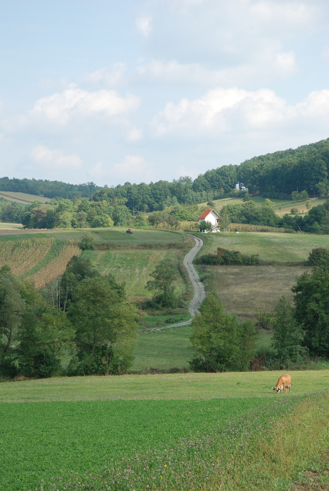 Nikon D80 sample photo. Landscape photography