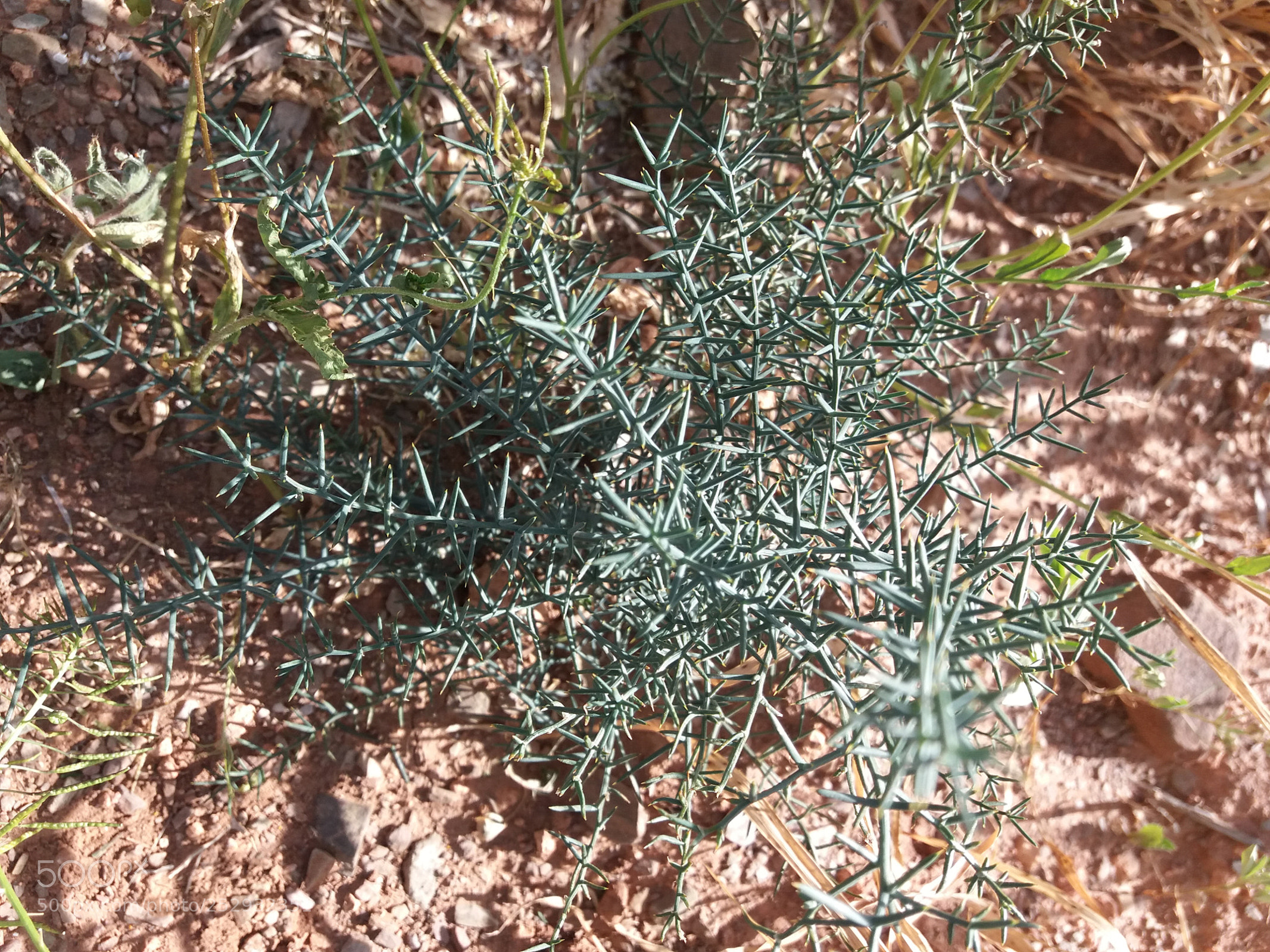 Samsung Galaxy J5(2016) sample photo. 20180407_172007.jpg photography