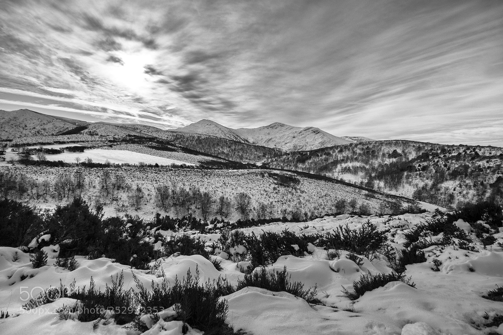 Canon EOS 80D sample photo. Cold winter photography