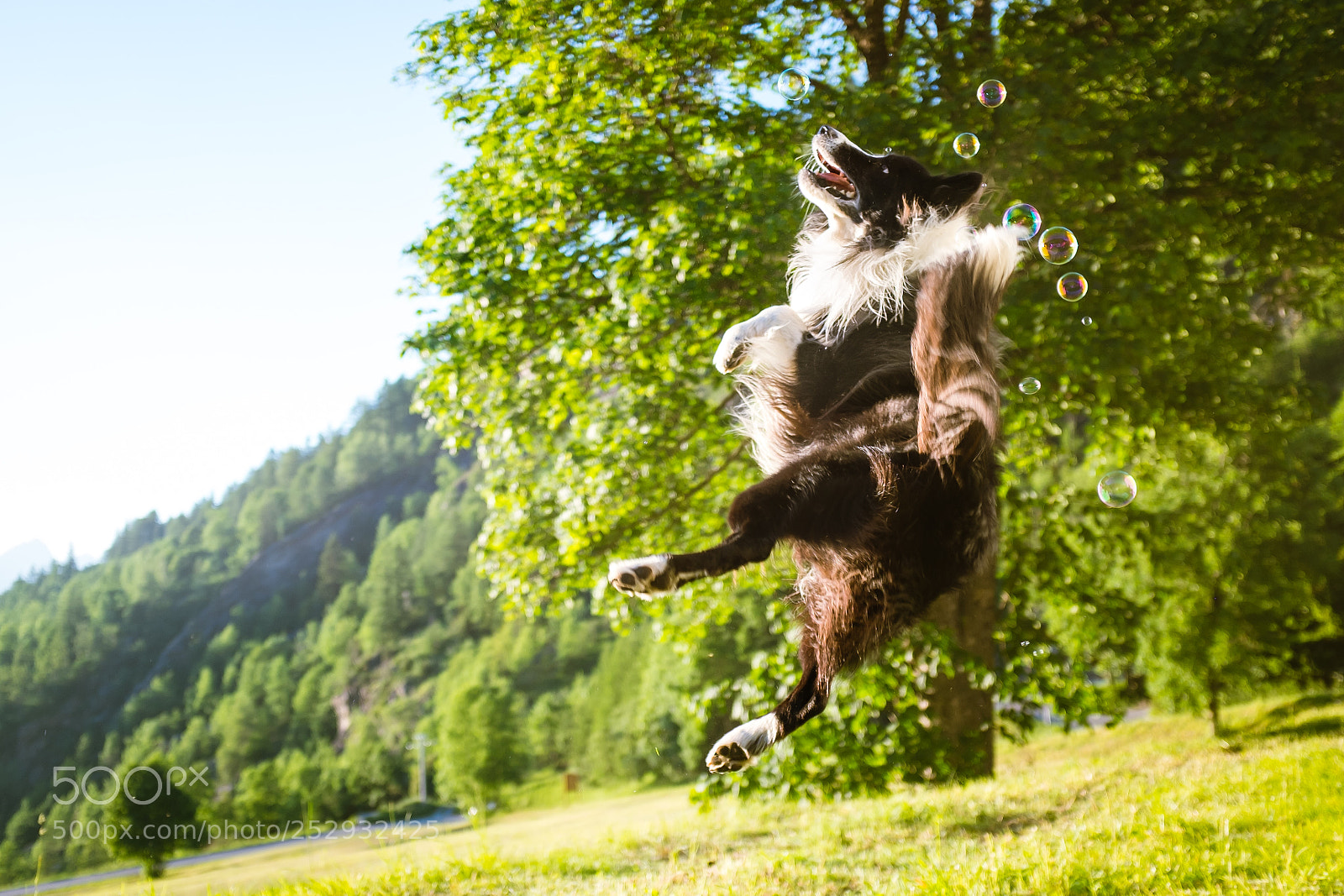 Fujifilm X100S sample photo. Jumping buddy photography