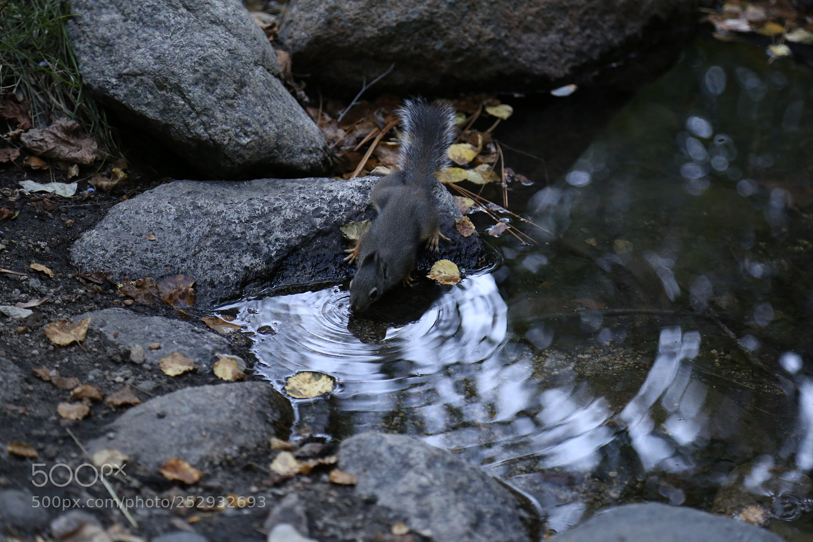Canon EOS 6D + Canon EF 24-105mm F4L IS USM sample photo. Big pine, ca, usa photography