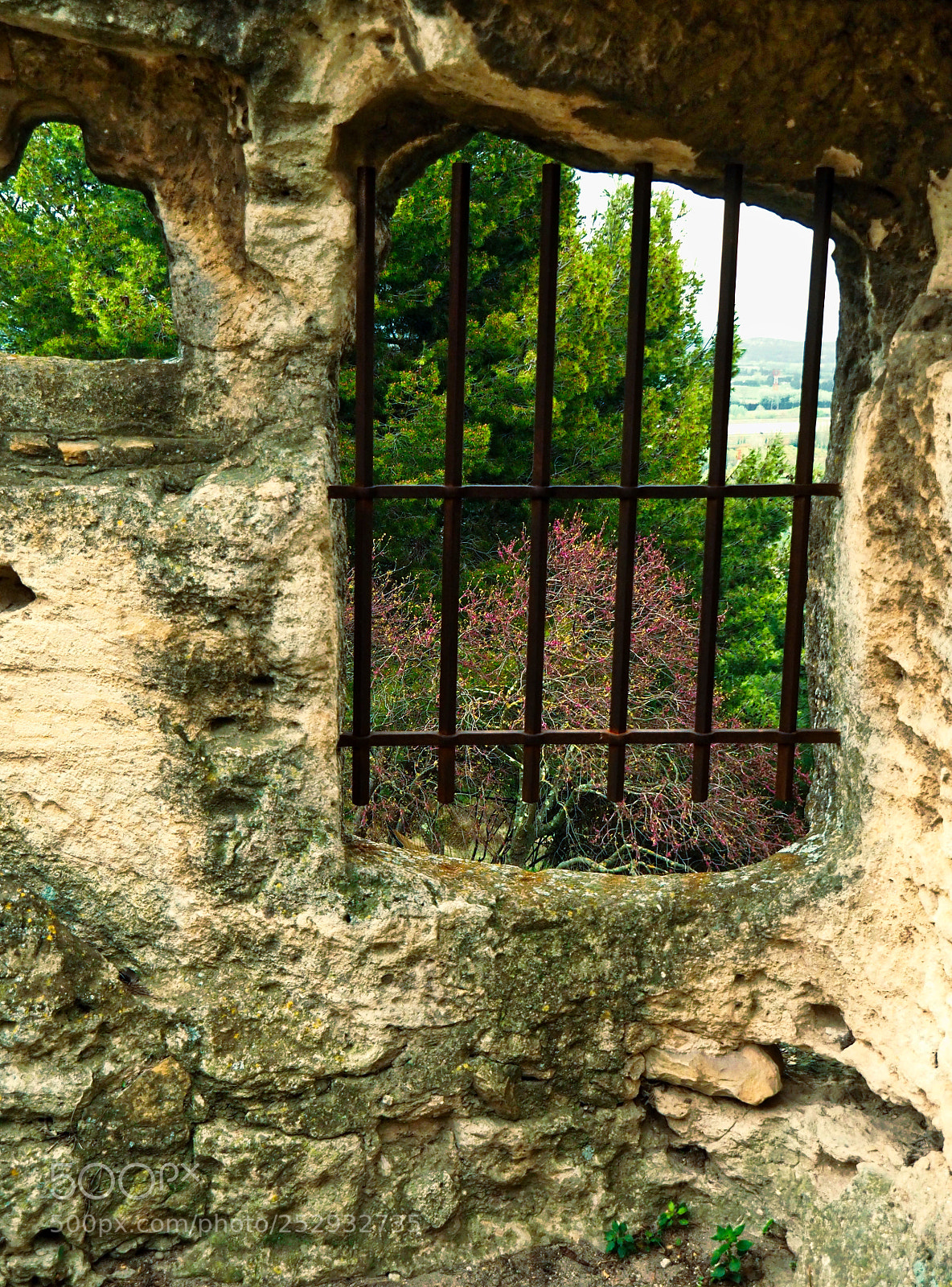 Olympus OM-D E-M5 II sample photo. St roman abbey photography