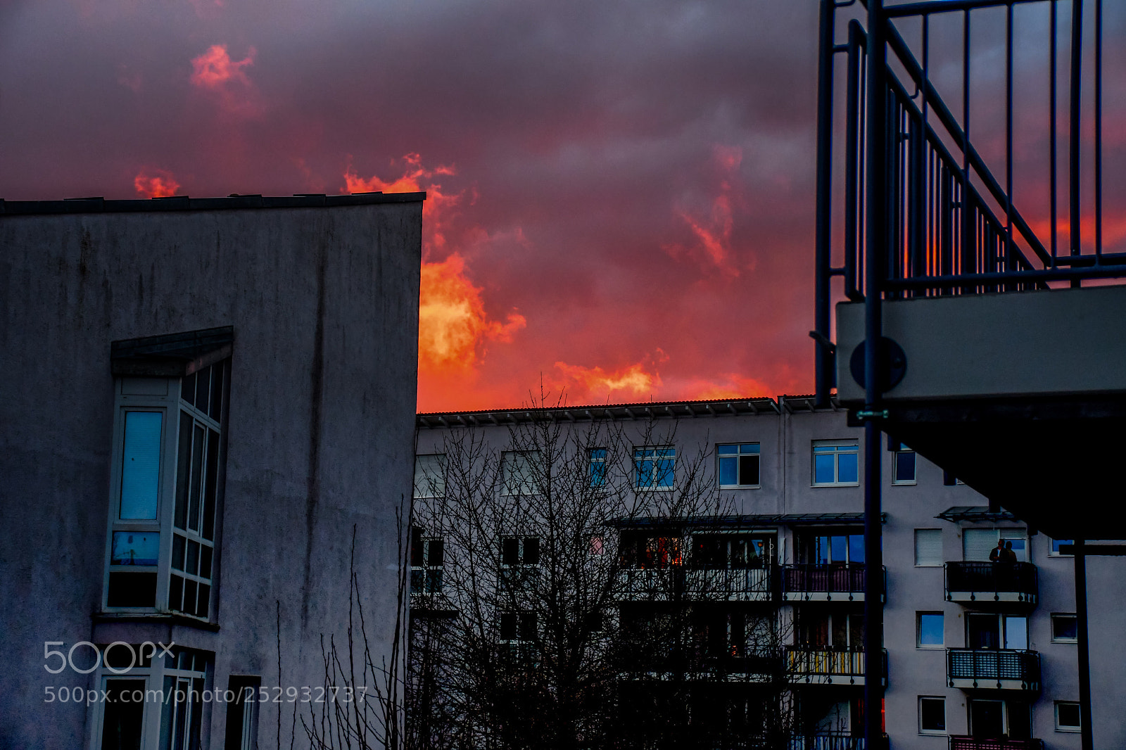 Nikon D7500 sample photo. Burning in the wind ? photography