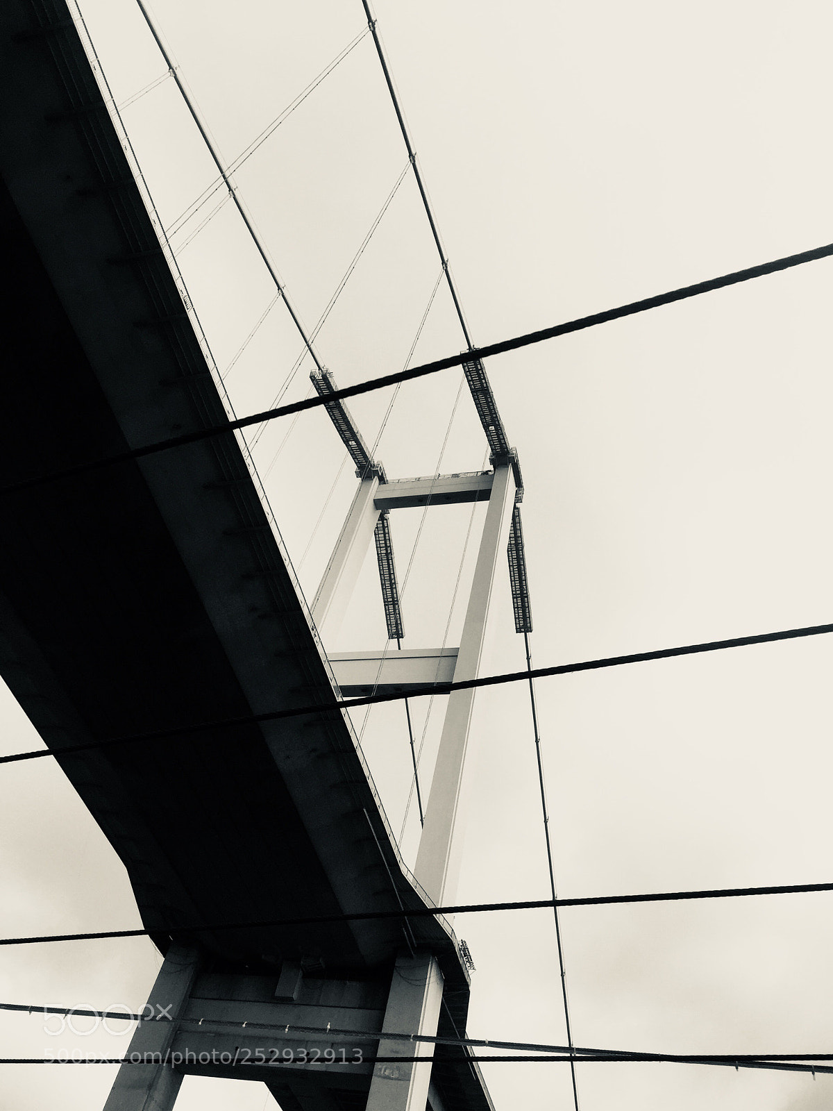 Apple iPhone 6 sample photo. Untitled photography