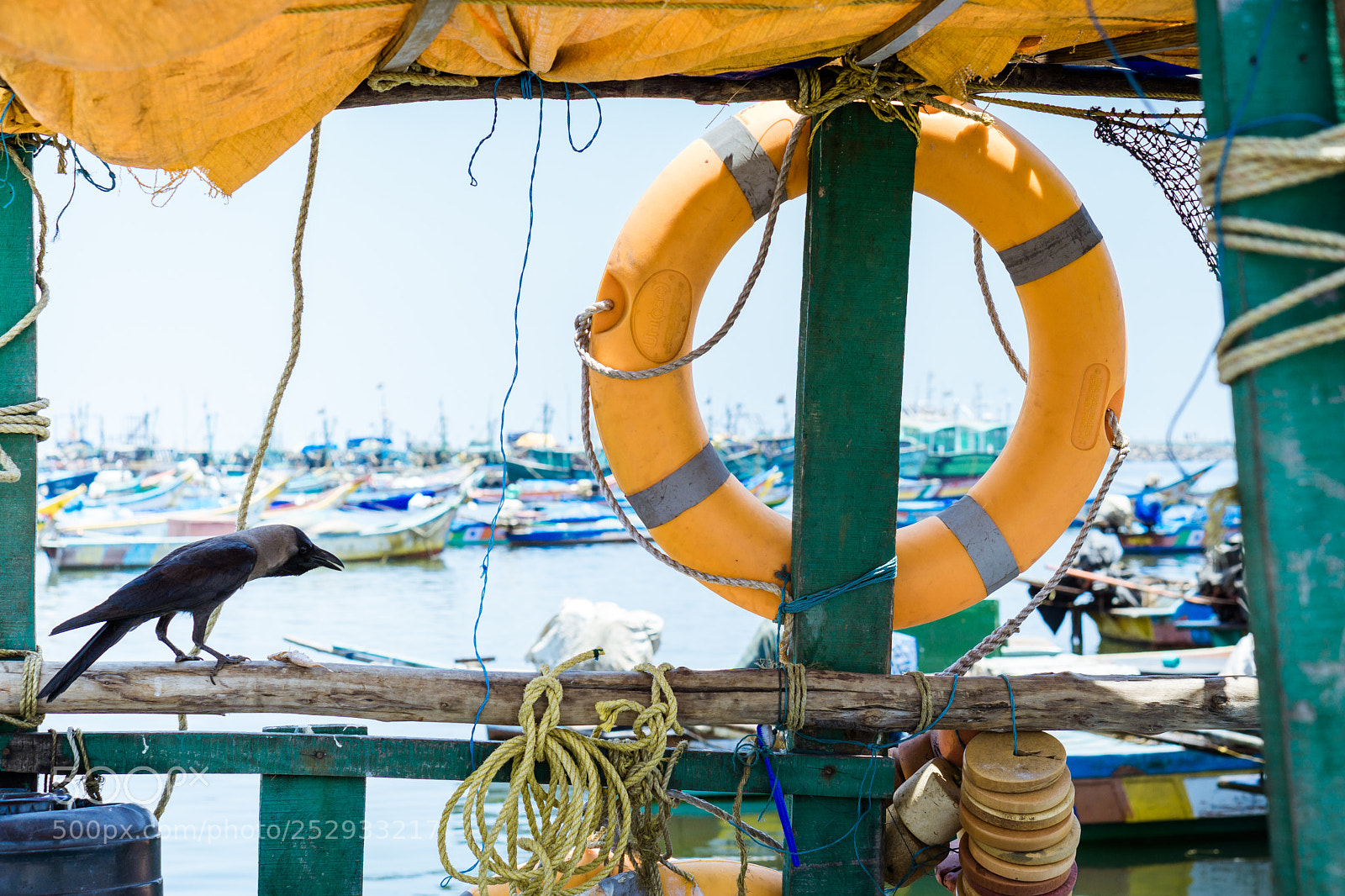 Sony a6000 sample photo. Life saver.... photography